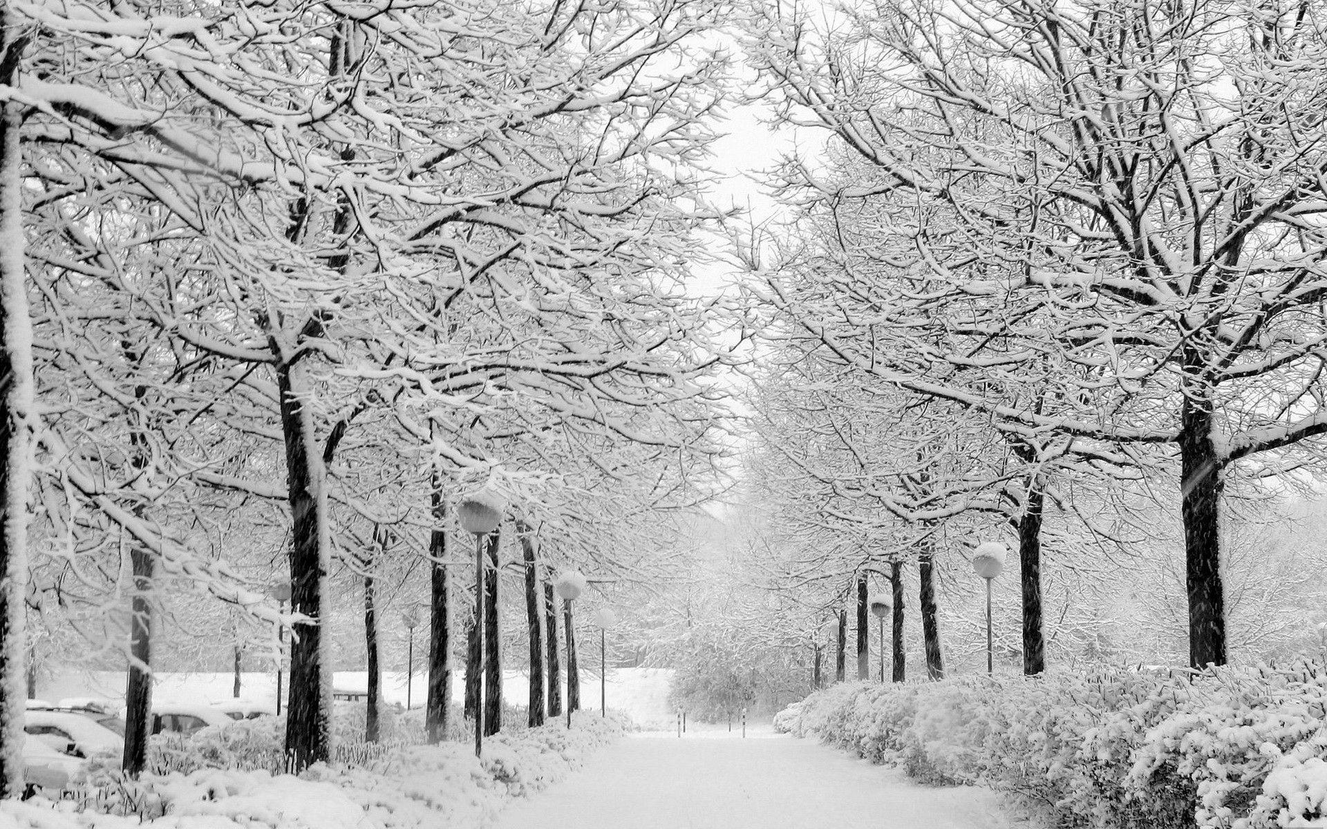 Winter Nature Photography Wallpaper Desktop