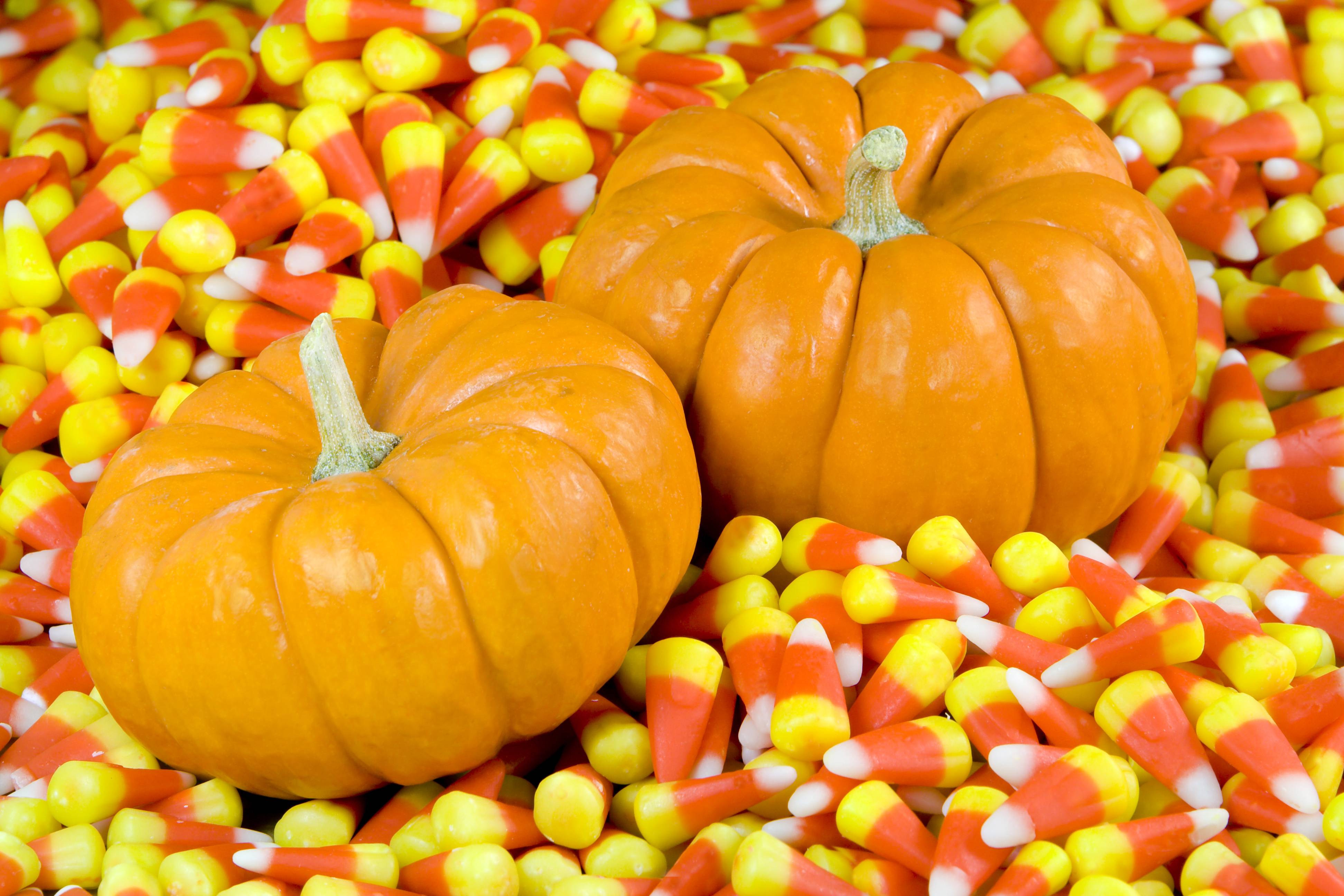 Fall Pumpkins Background