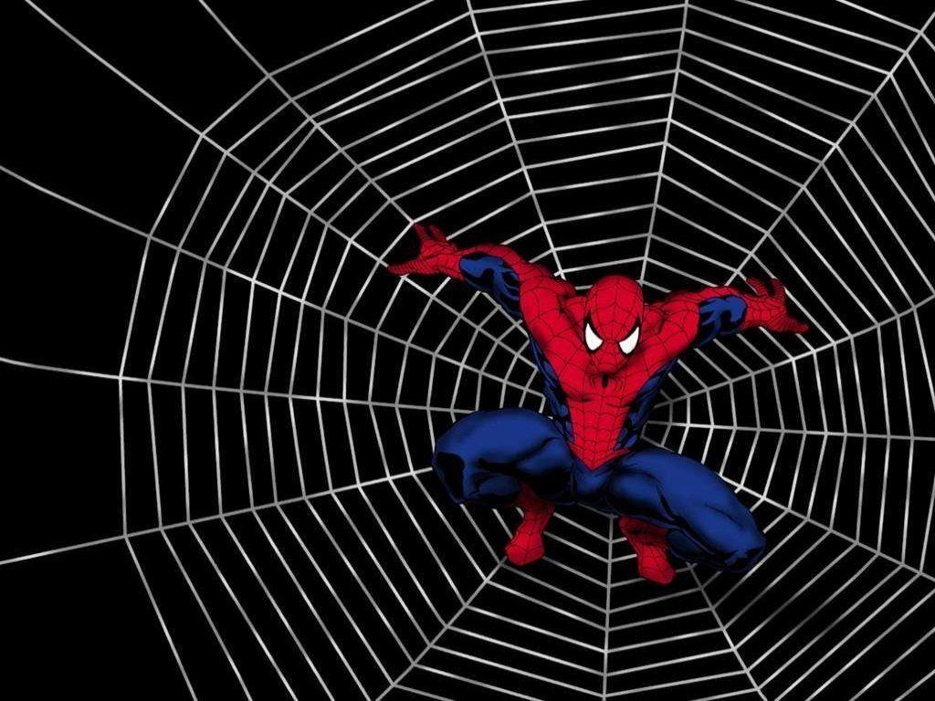 Spiderman Wallpaper 30613 Wallpaper HD. colourinwallpaper