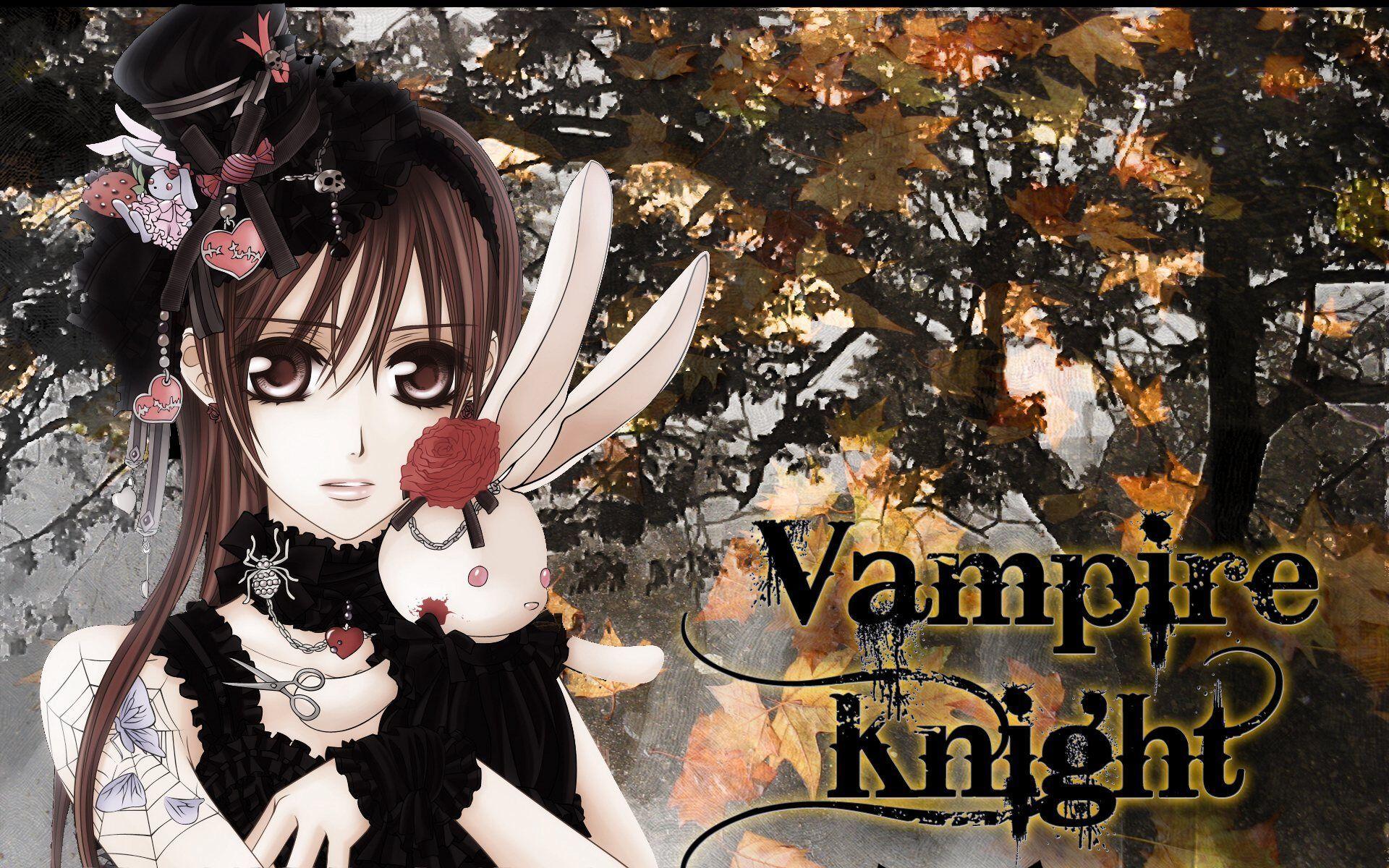 100+] Vampire Knight Wallpapers