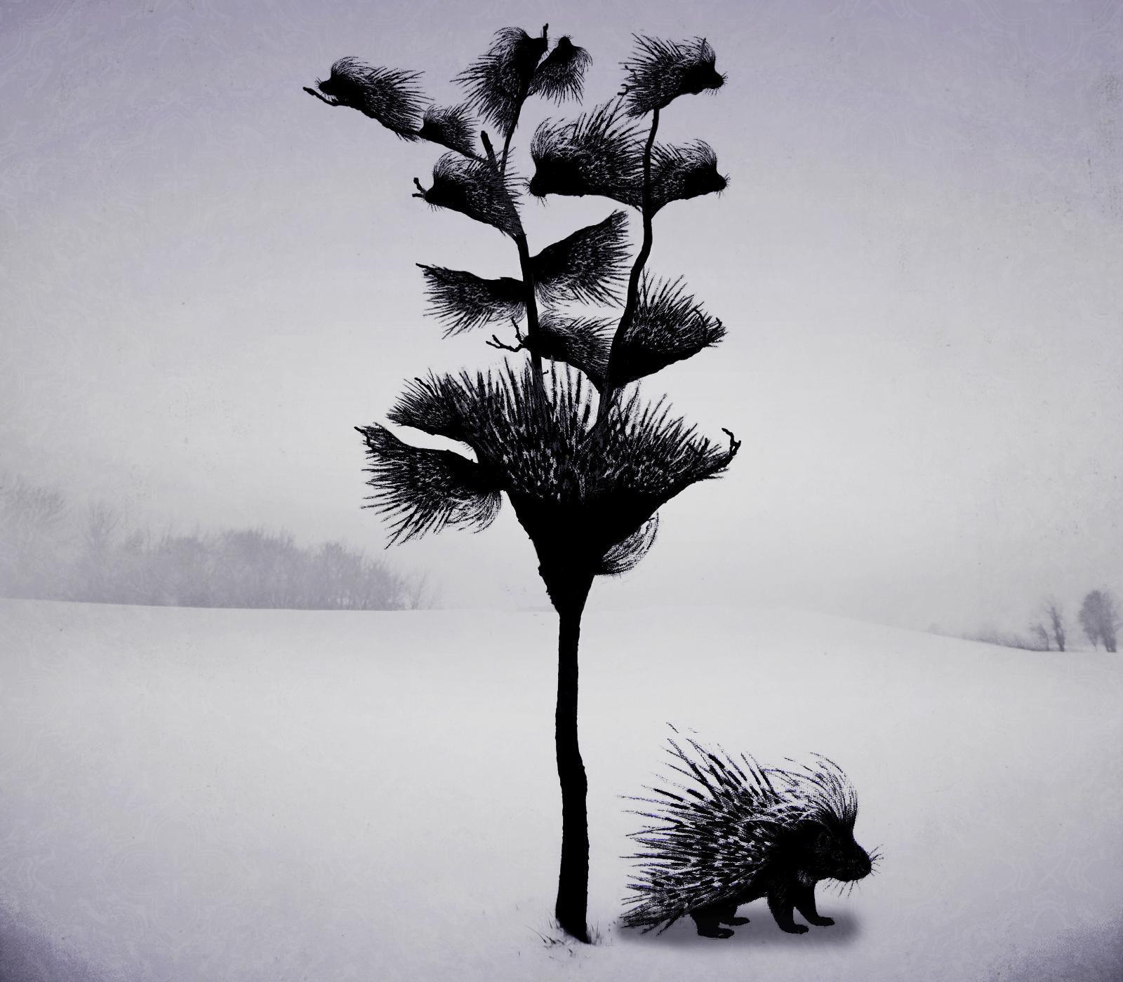 Porcupine Tree | The PROG Mind
