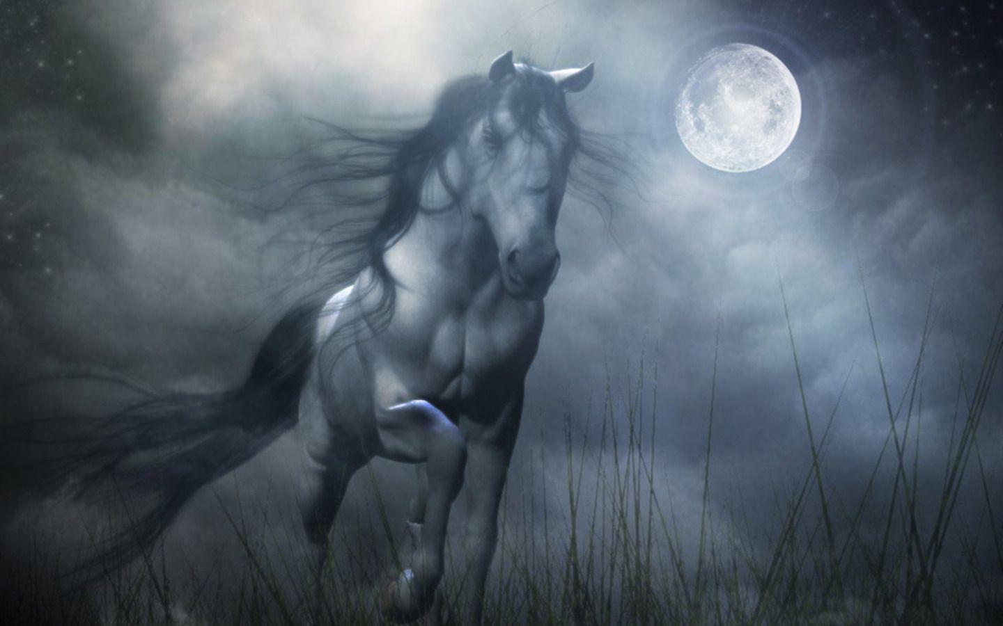 Download Fantasy Absract Horse From Fantasy Wallpaper. Full HD