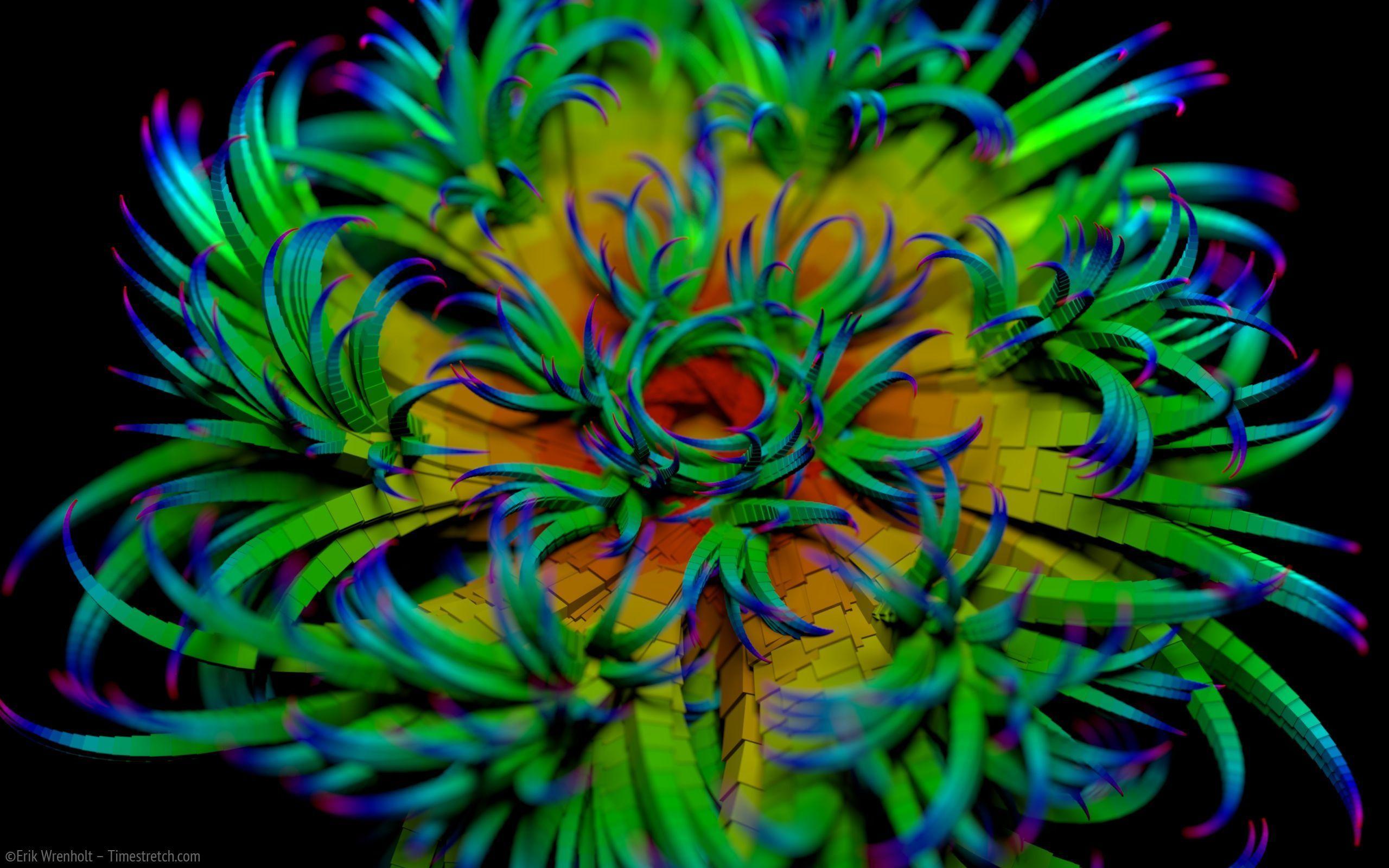 Rainbow Flower Wallpaper Desktop