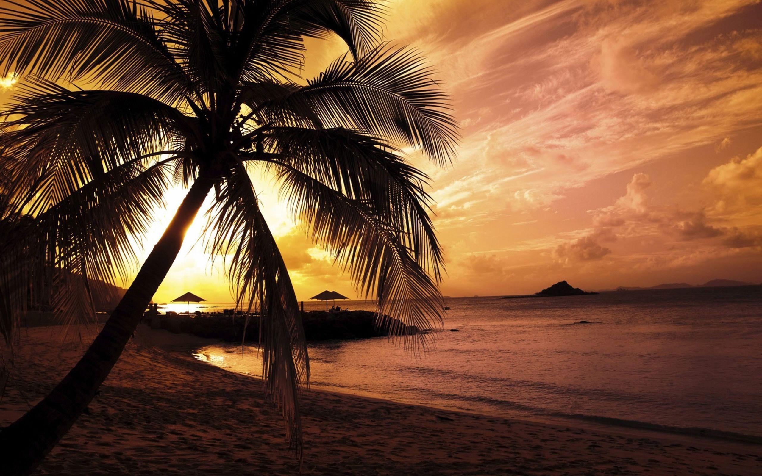 Sunset Beach High Quality Picture Desktop Background Free