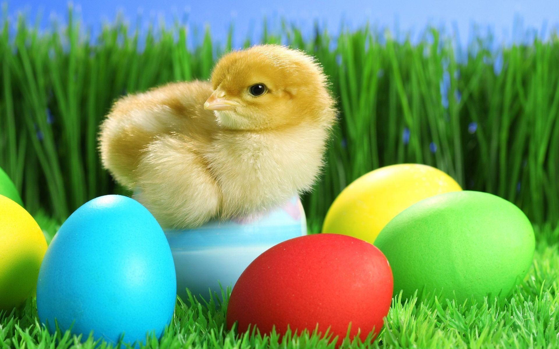 Easter Eggs Clip Art Image Wallpaper. Free Download Wallpaper