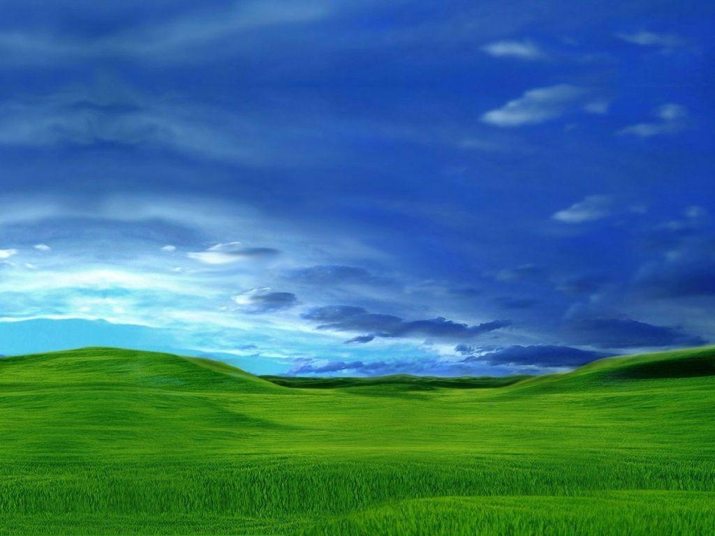 Plain Green Wallpaper and Background