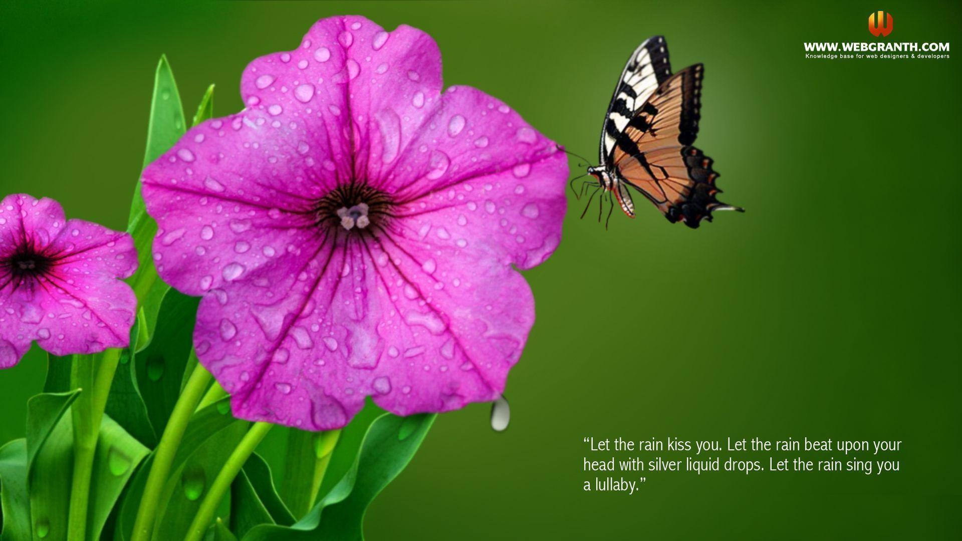 Photo Frame Wallpaper Tag: Beautiful Beautiful Sky Tree Wallpaper