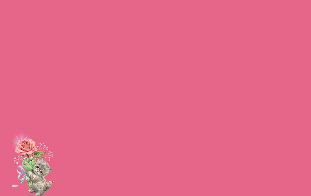 Plain Baby Pink Background. fashionplaceface