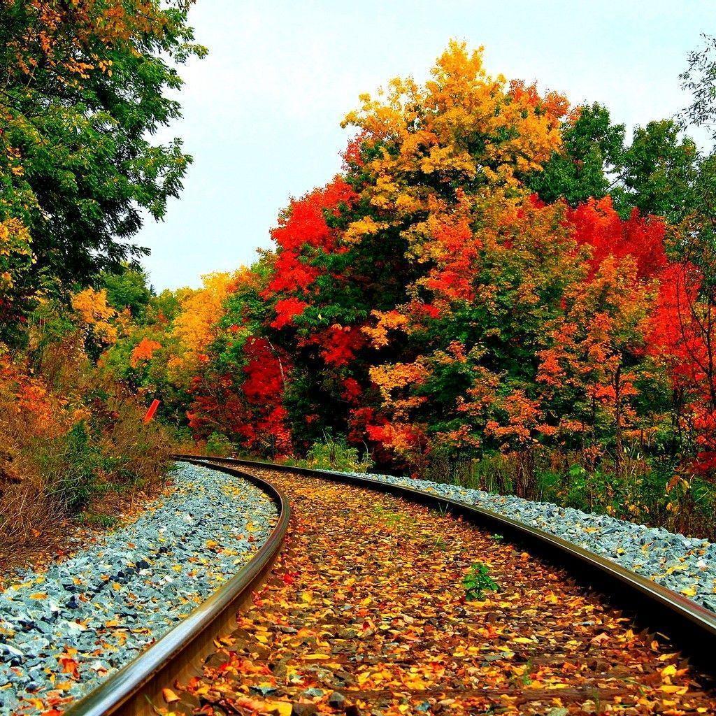 nice fall scenery near me