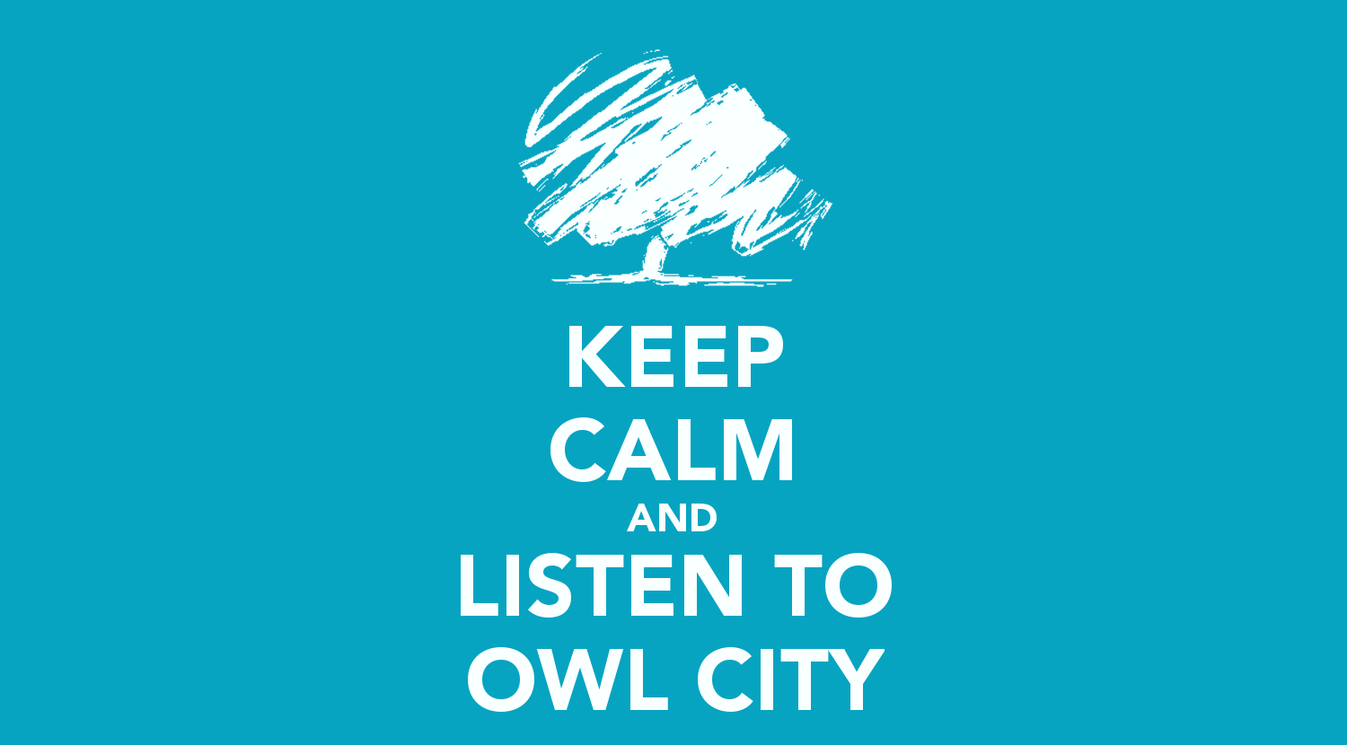 KEEP CALM AND LISTEN TO OWL CITY CALM AND CARRY ON Image