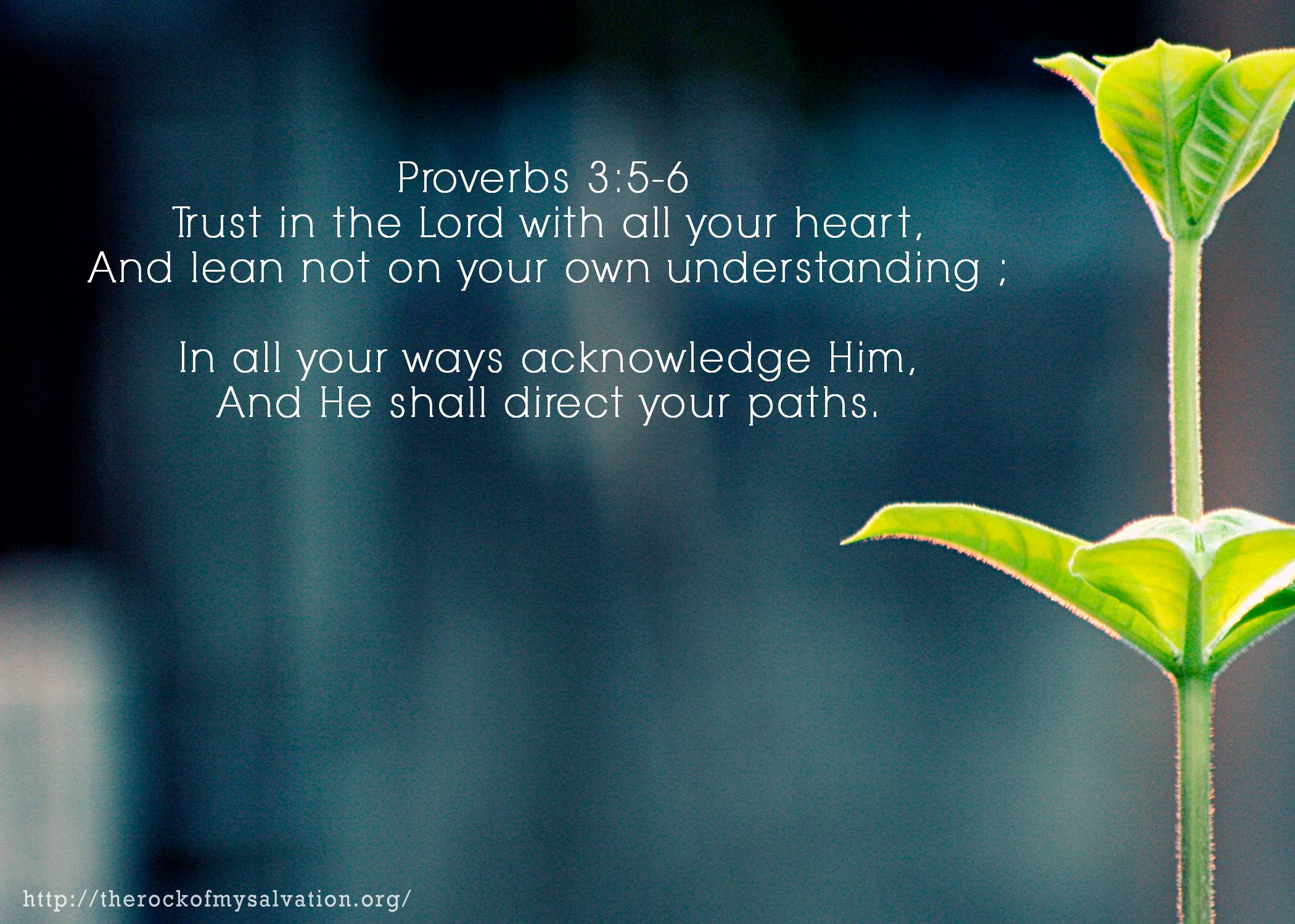 Proverbs 31 Meaning Verse By Verse