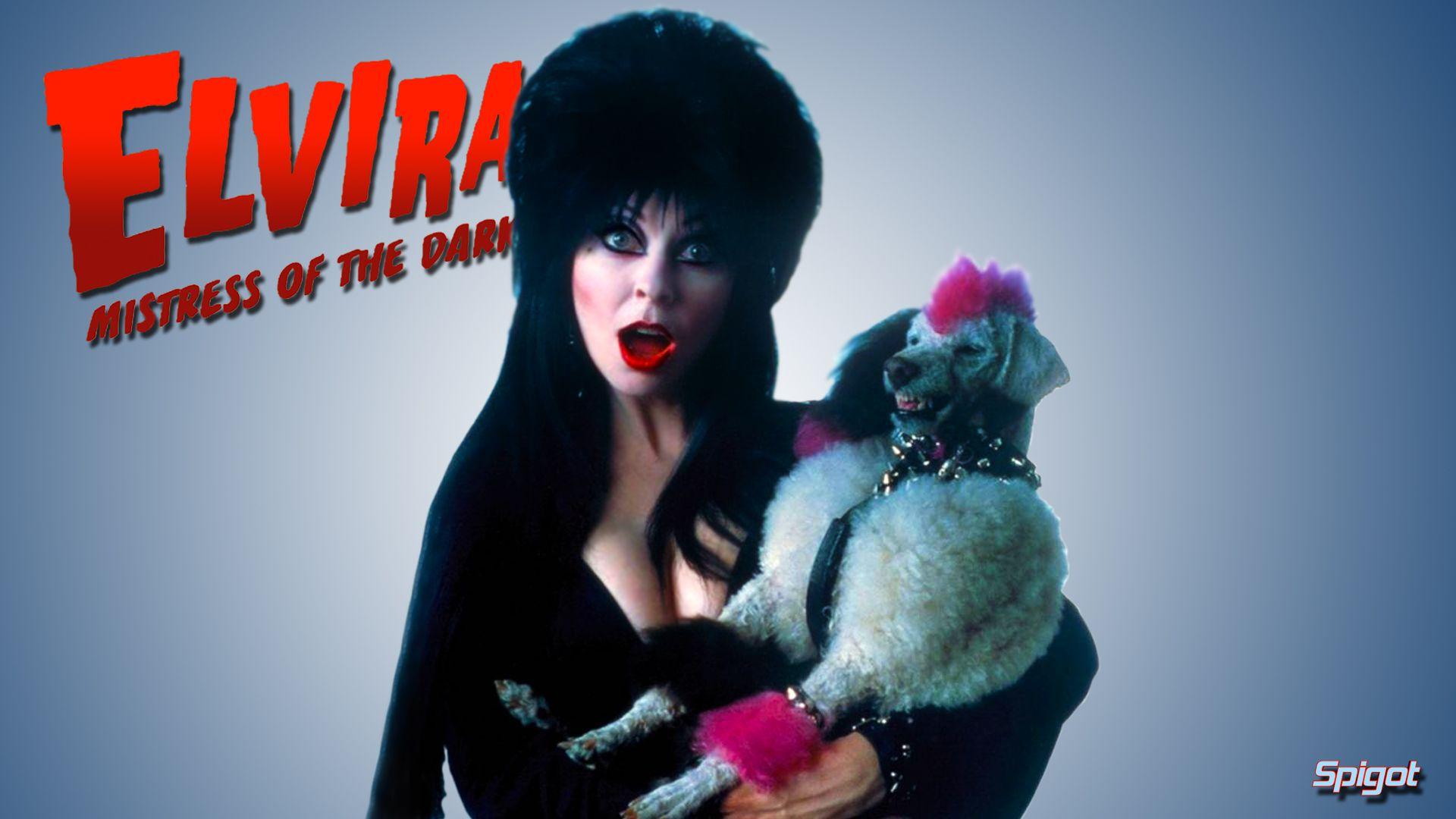 Elvira Mistress Of The Dark Phone Wallpaper  Mobile Abyss