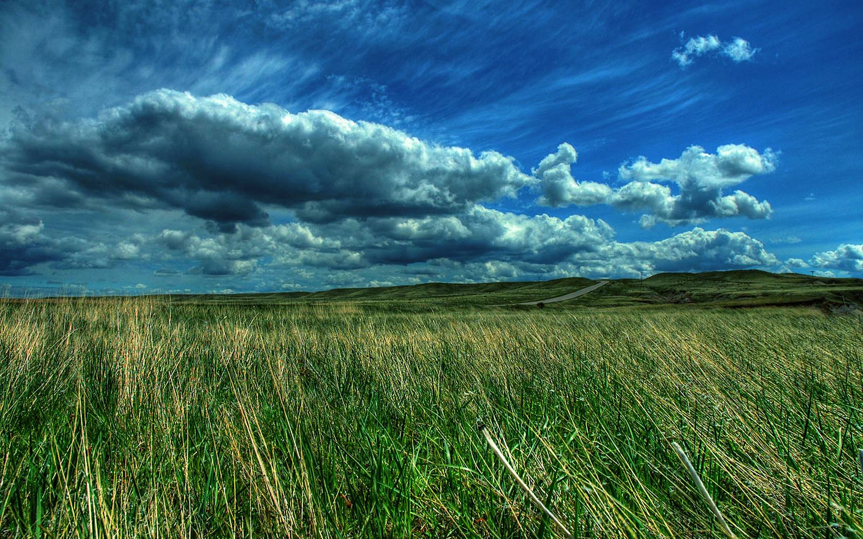 Green Pasture Landscape Wallpaper For Android Wallpaper