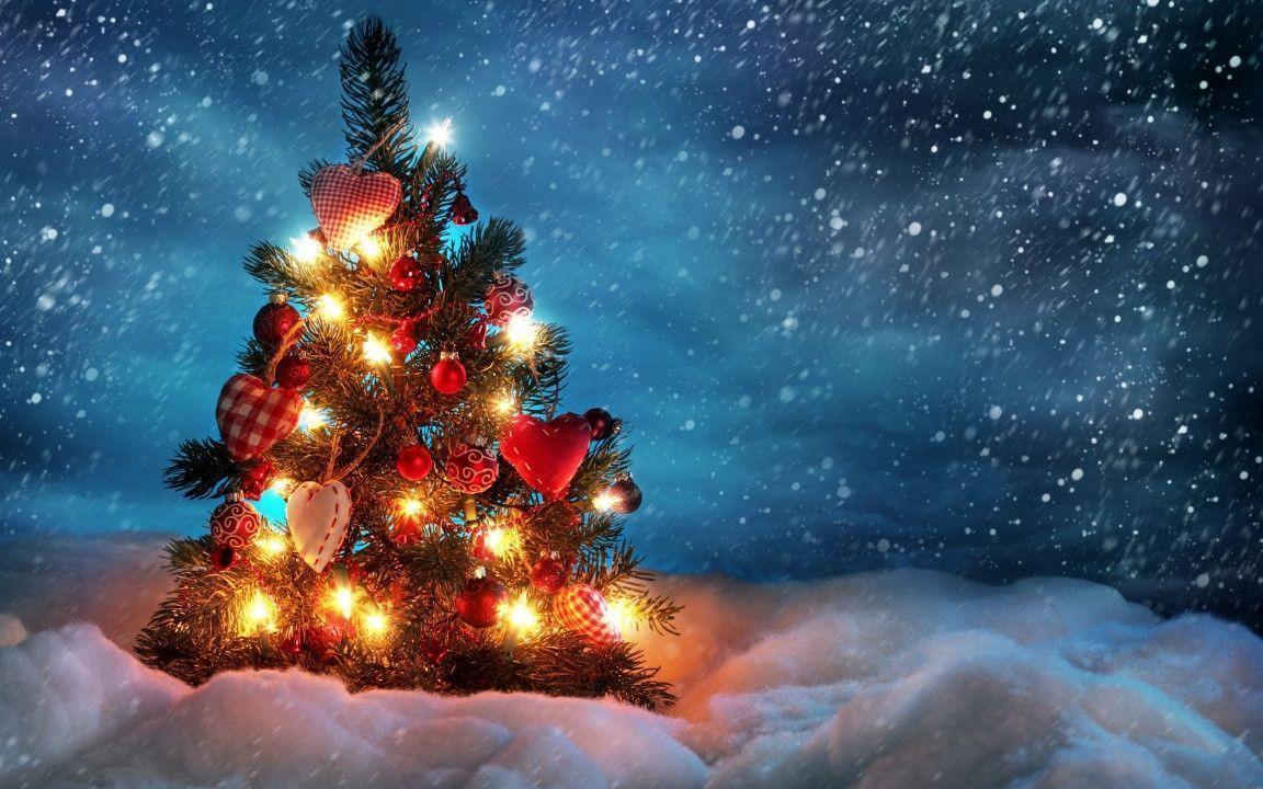 Christmas Tree in the Snow Storm widescreen wallpaper. Wide