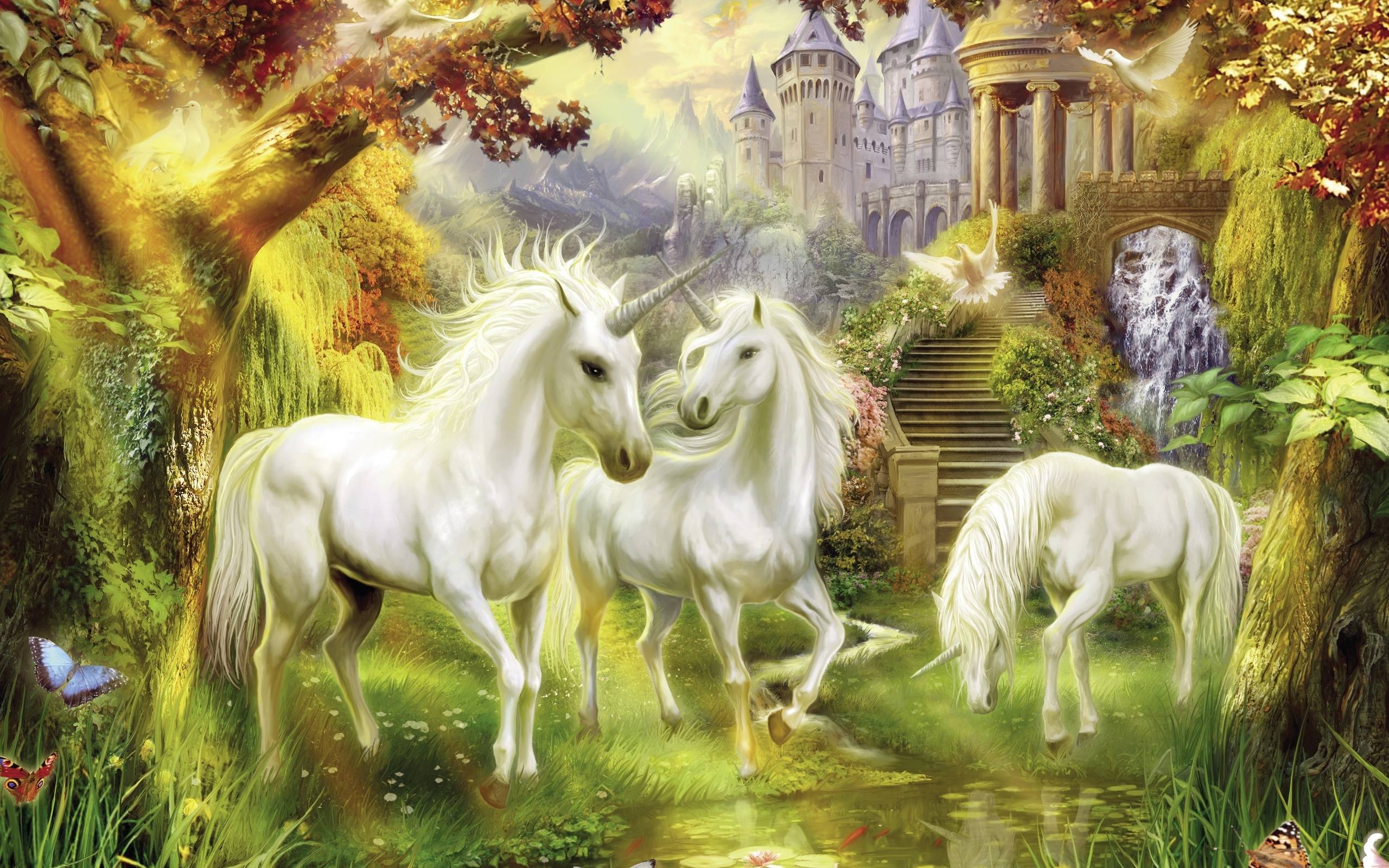 Unicorn wallpaper background background