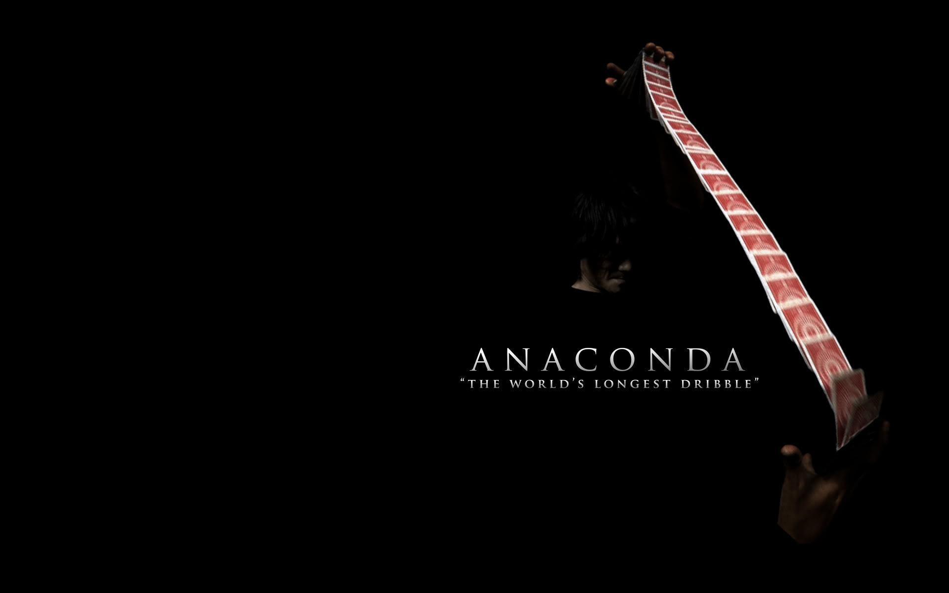 anaconda pc color - HD Animal Wallpaper