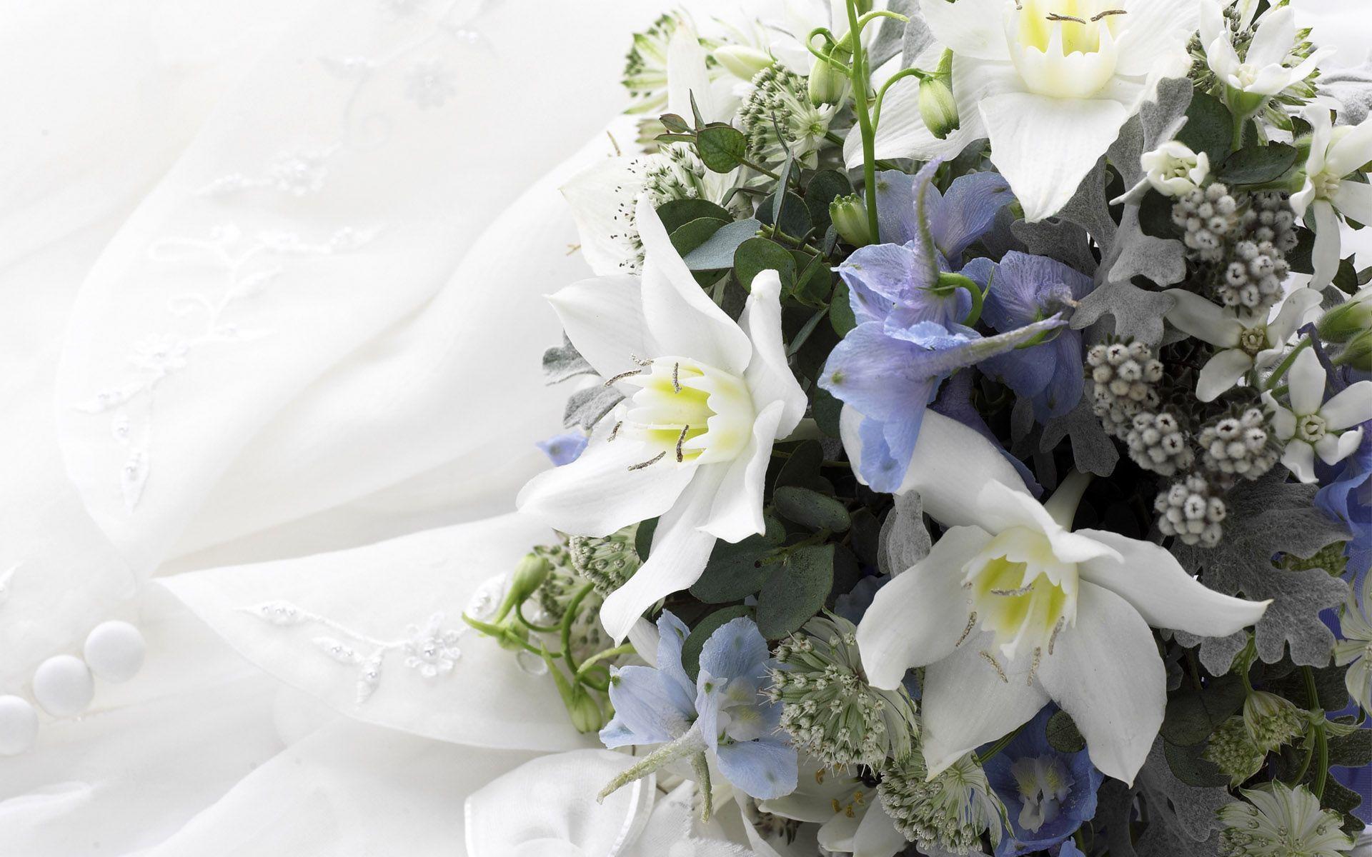 Wedding flower wallpaper wedding ring 6241 Flowers