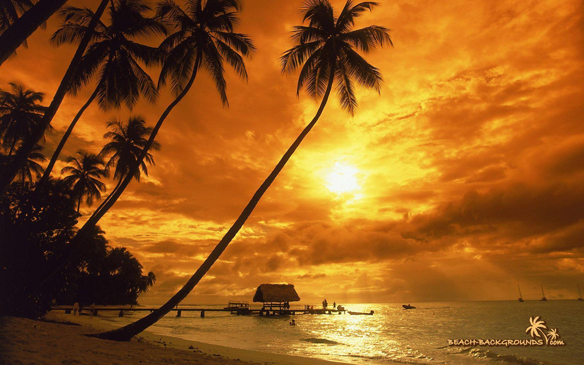 Tropical island Sunset Wallpapers