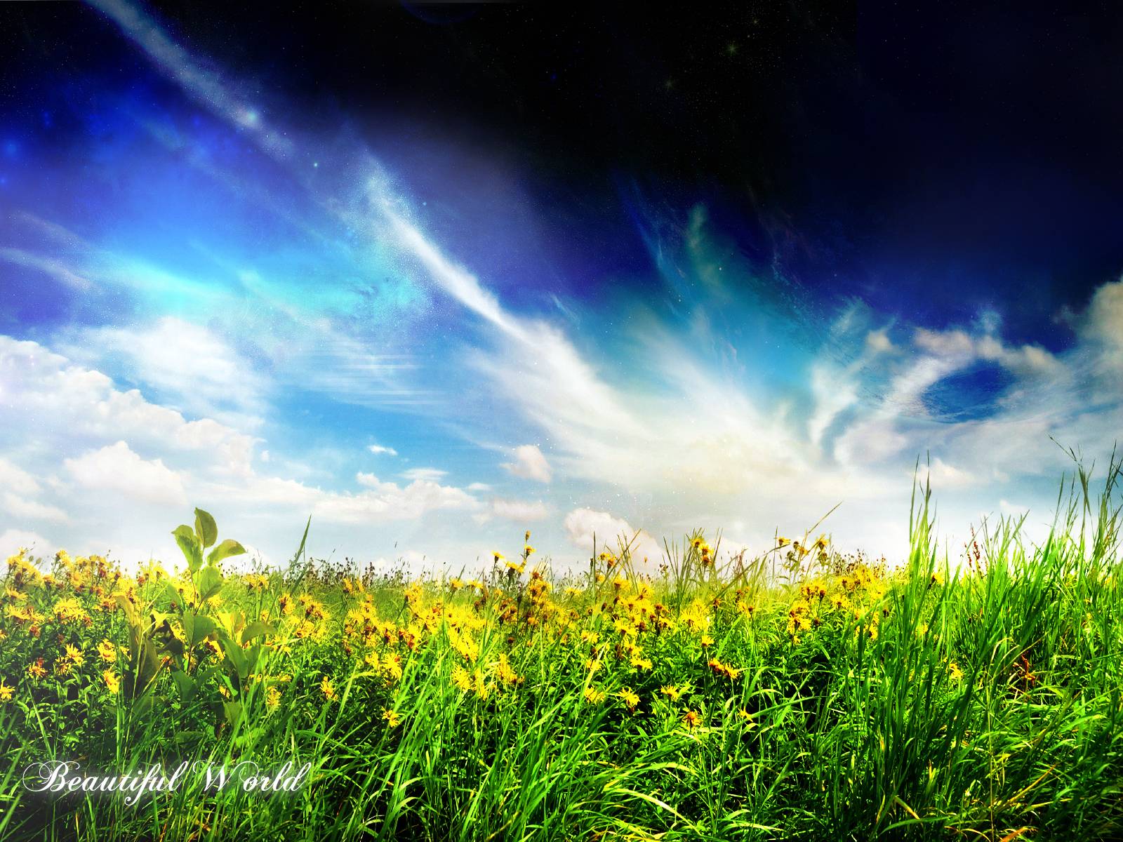 Places Places Wallpaper