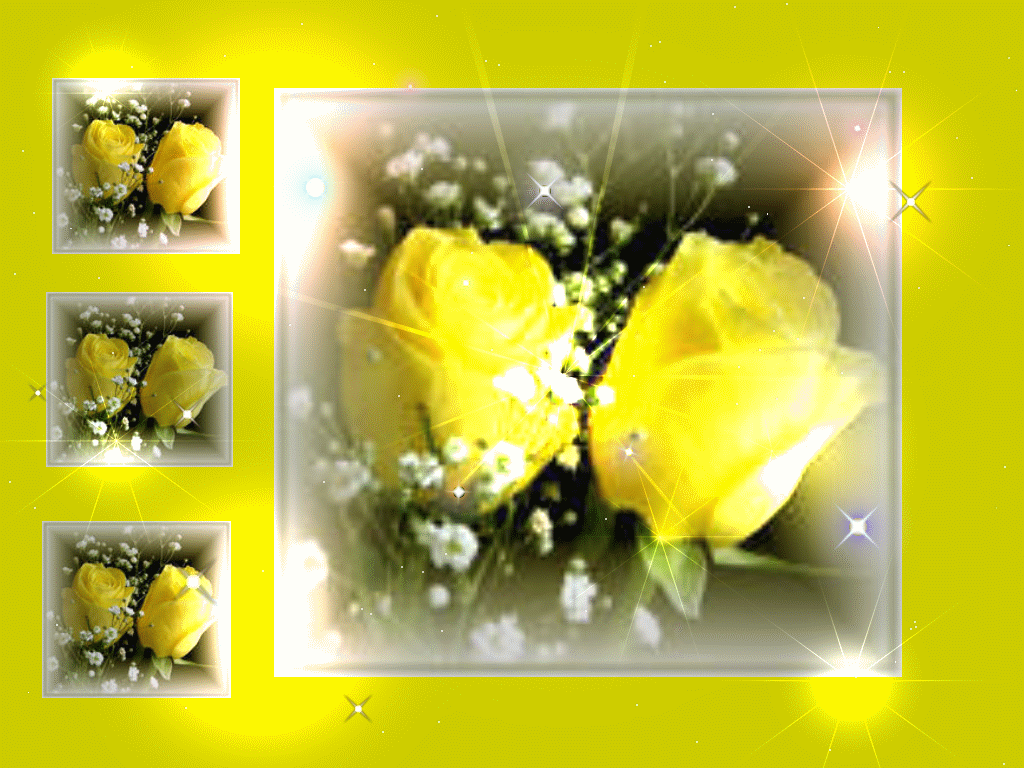 Yellow Rose Wallpaper and Picture Items