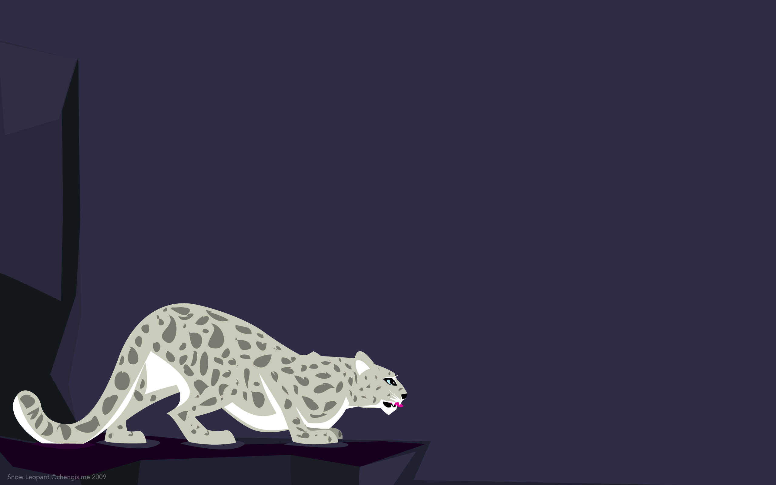 Wallpaper: Snow Leopard. chengis