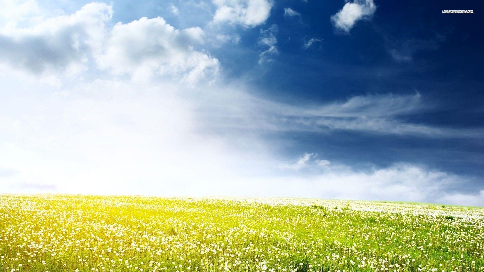 Sunny HD Widescreen 10 HD Wallpaper. Hdimges