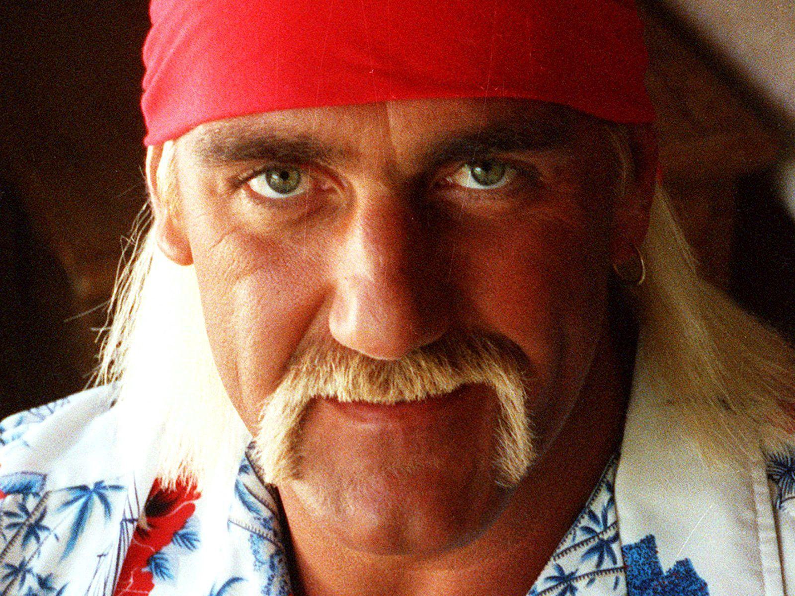 Hulk Hogan Image