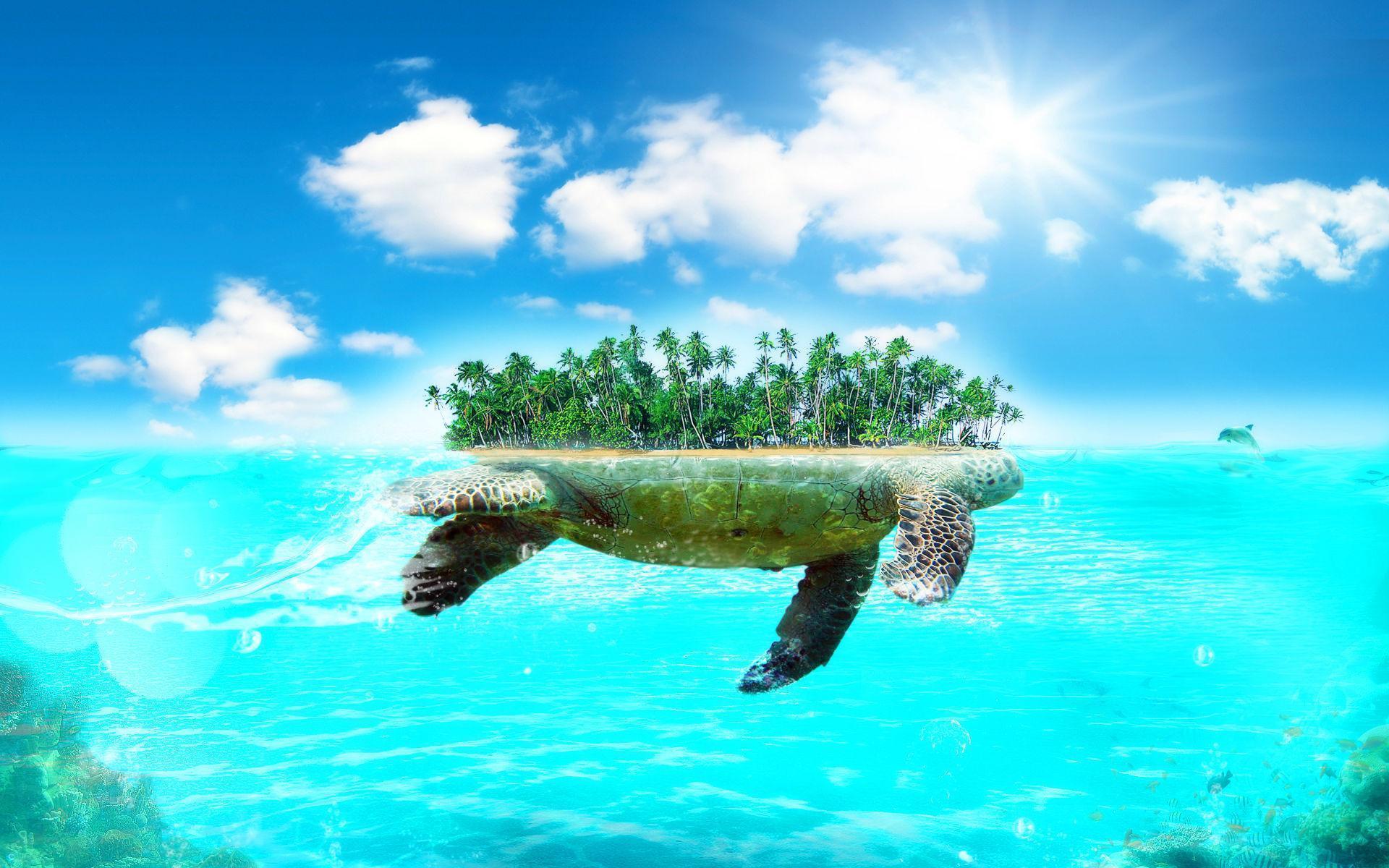 Hd Wallpaper Turtle Island Beautiful Large Wallpaper Desktop