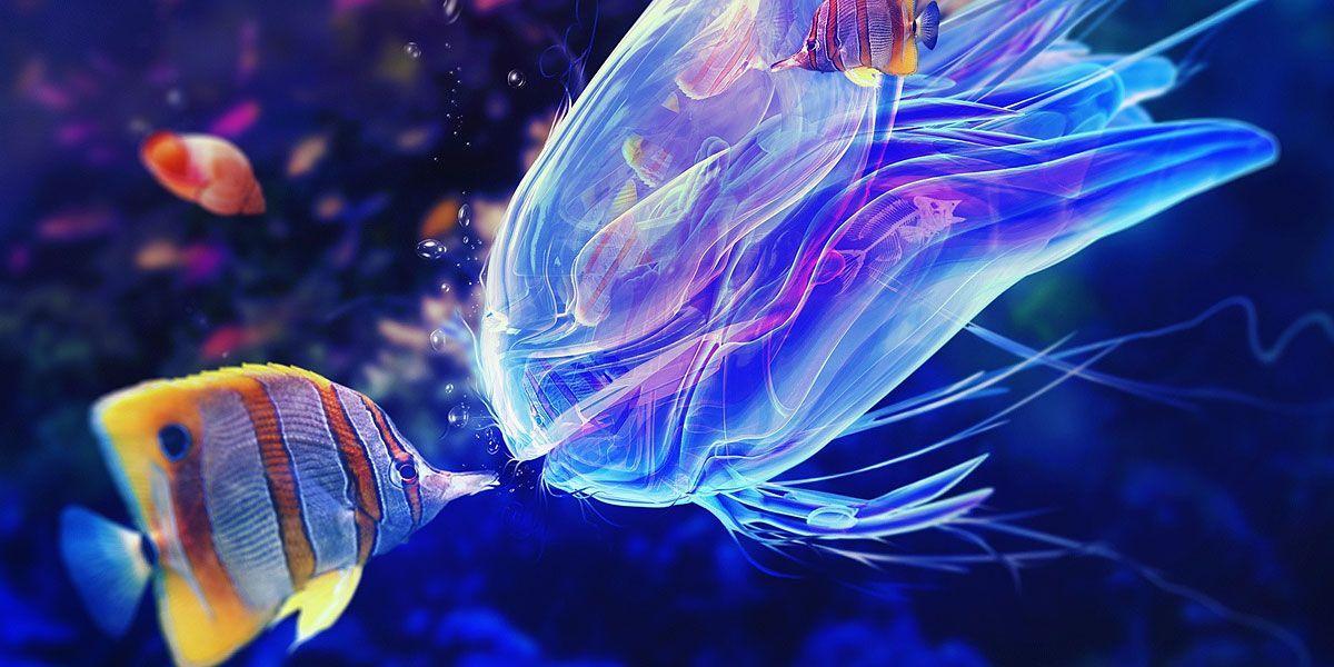 Blue Jellyfish Twitter Cover & Twitter Background