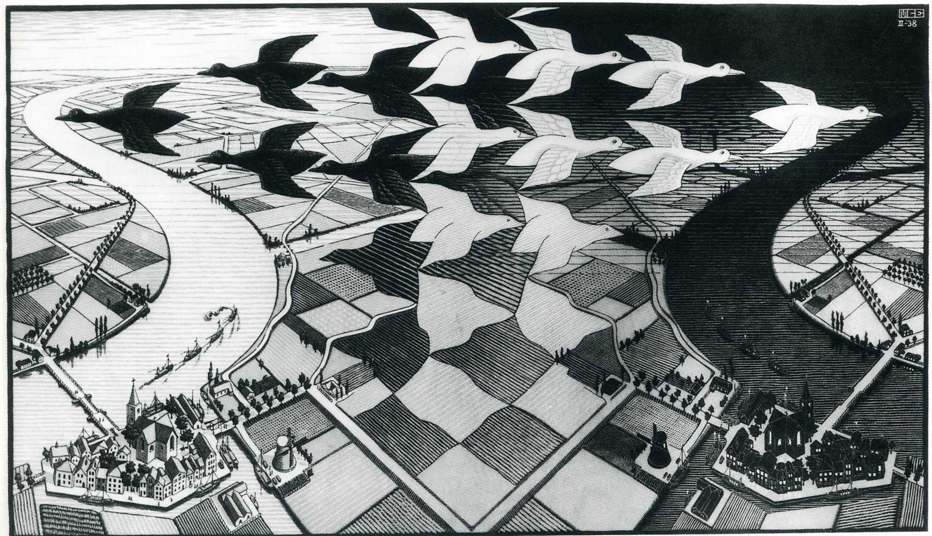 Birds And Landscape Mix Illusion M C Escher Art