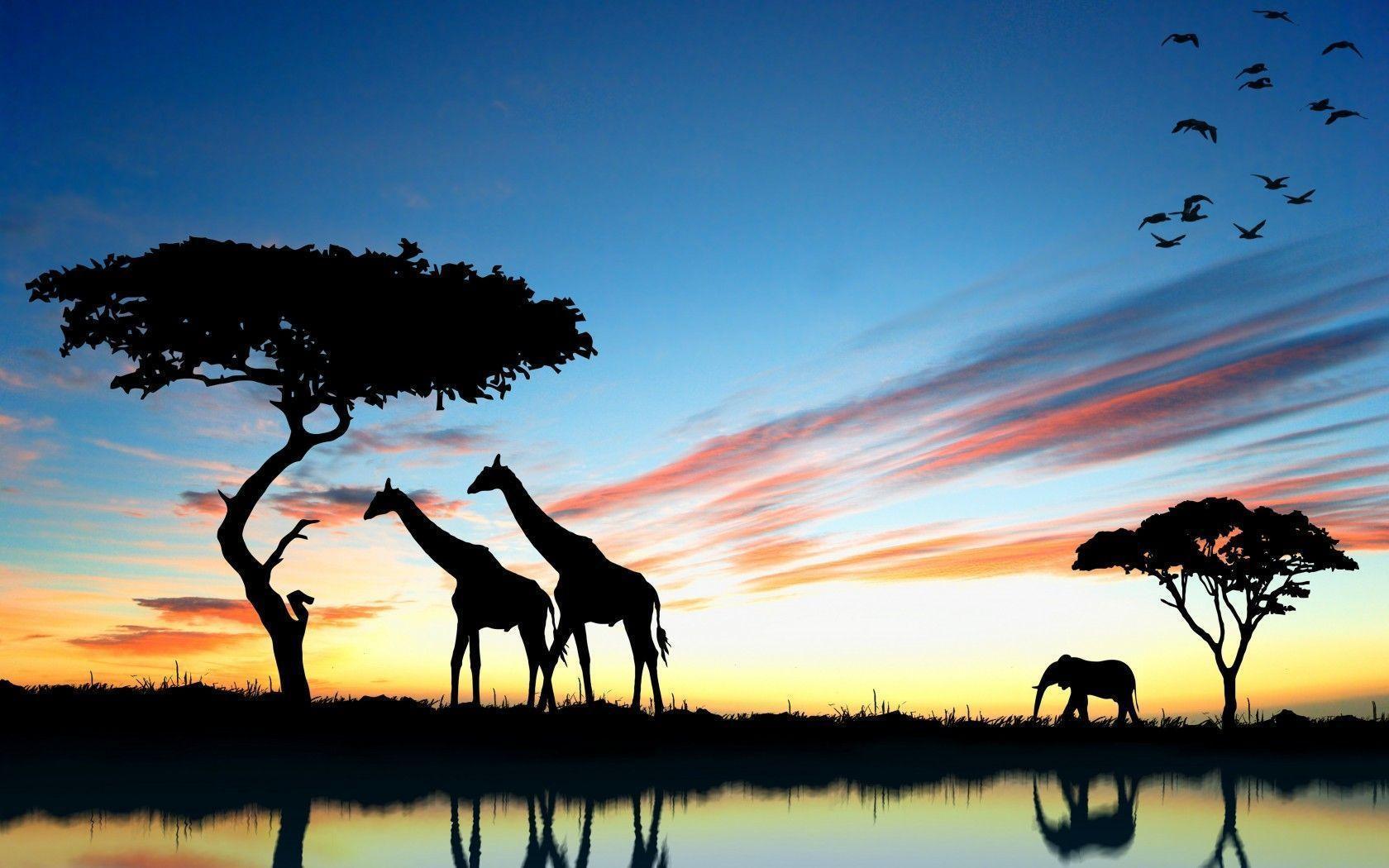 image For > Cute Giraffe Wallpaper For Desktop