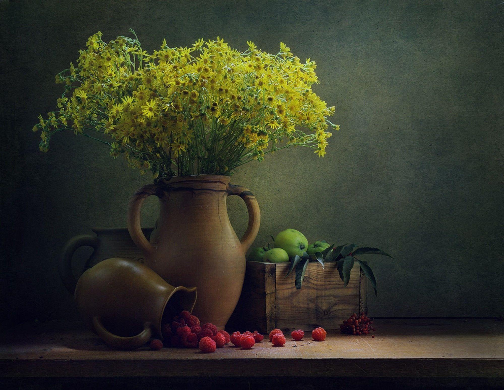 Still life обзор