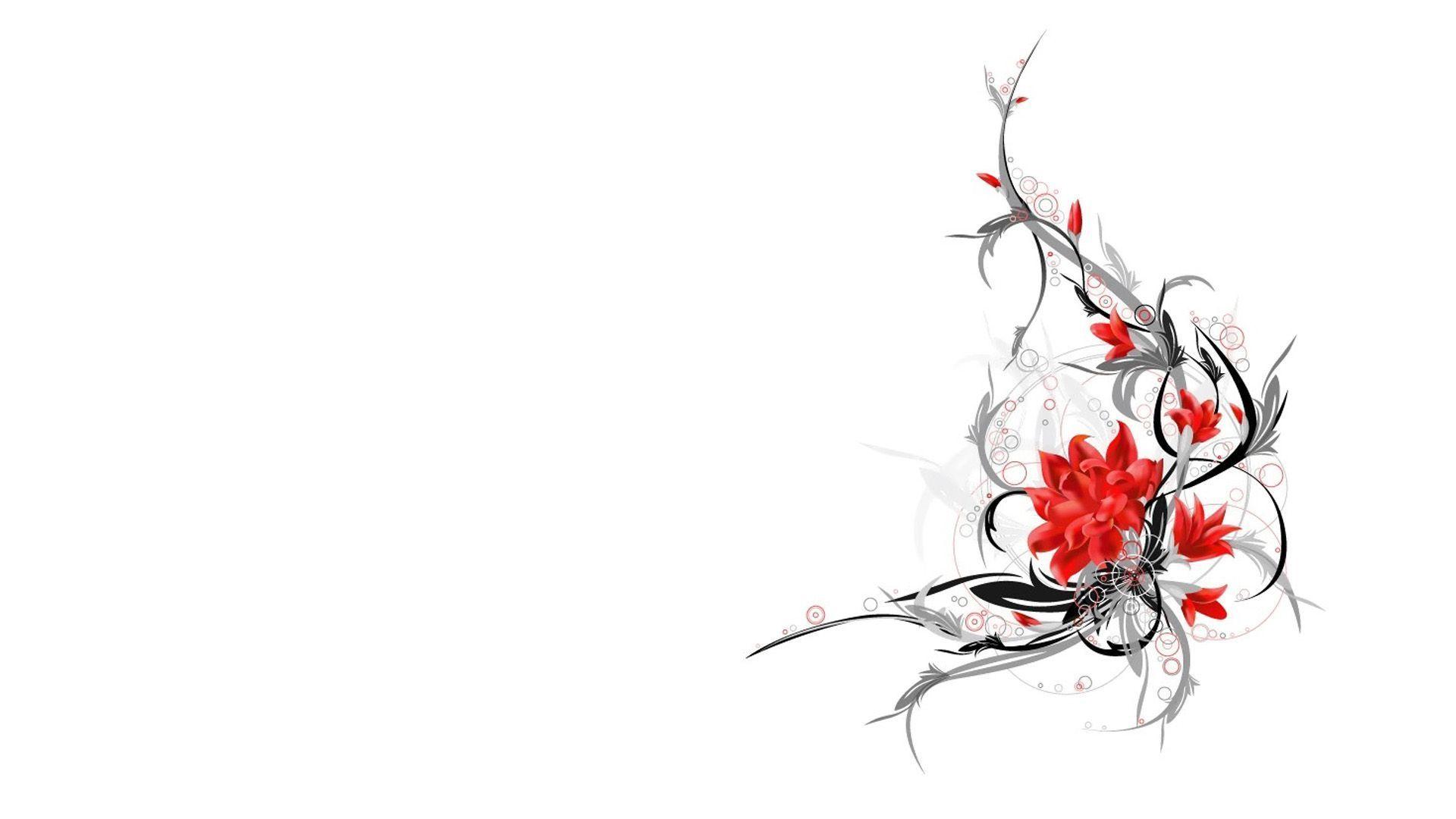 Red Flower On White Wallpapers Wallpapers