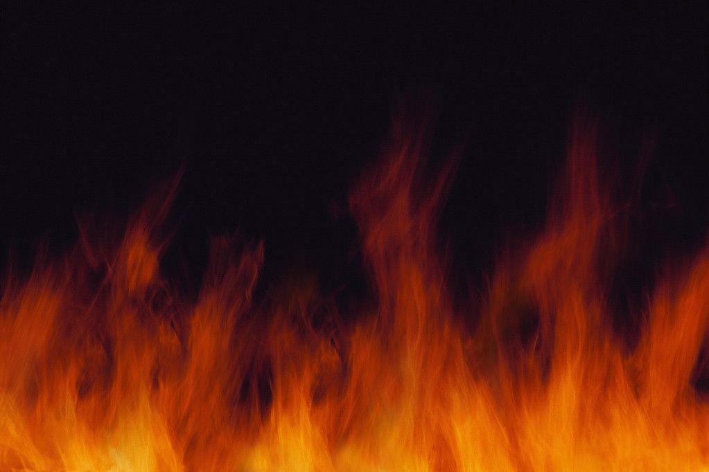 Freddy Kruger Wallpaper and Picture Items