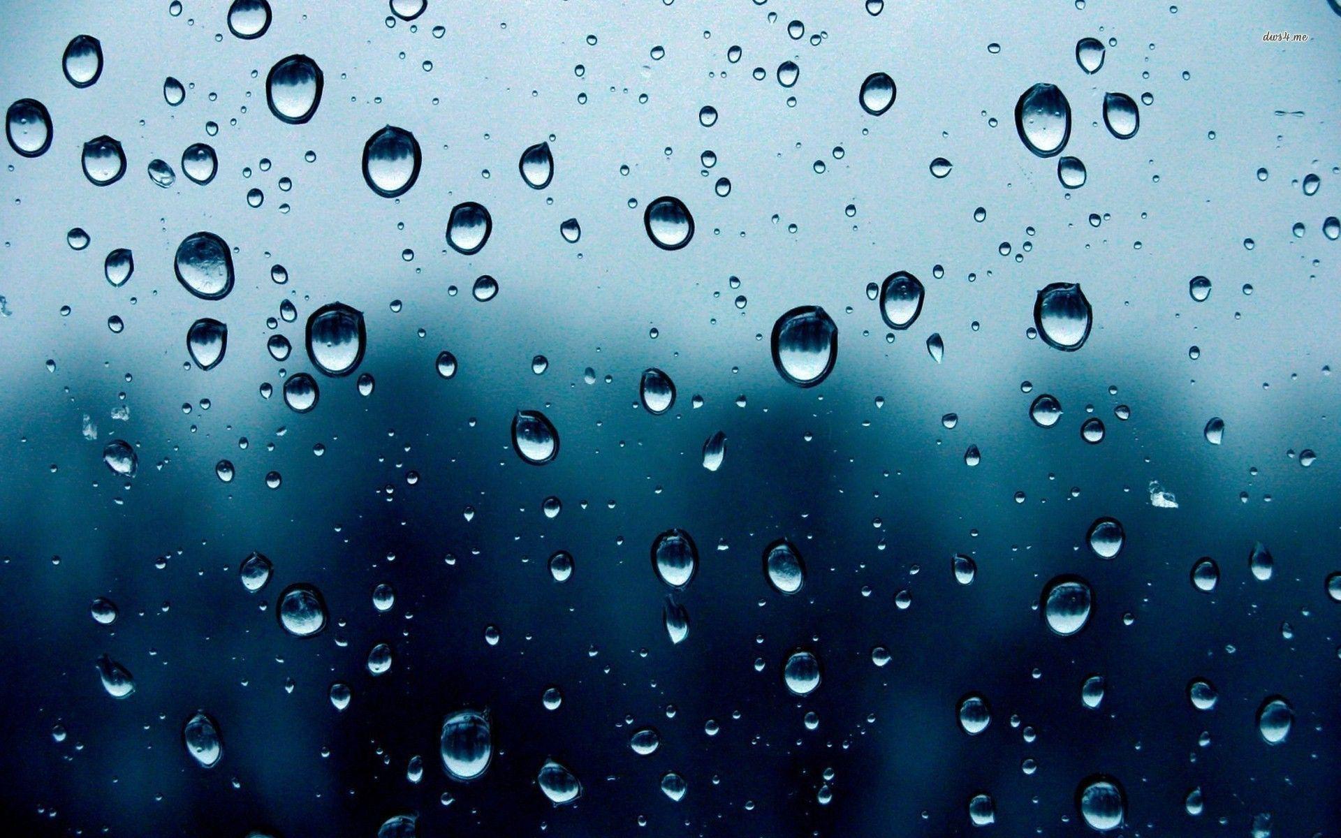 Rain Drops Wallpaper Wallpaper Inn