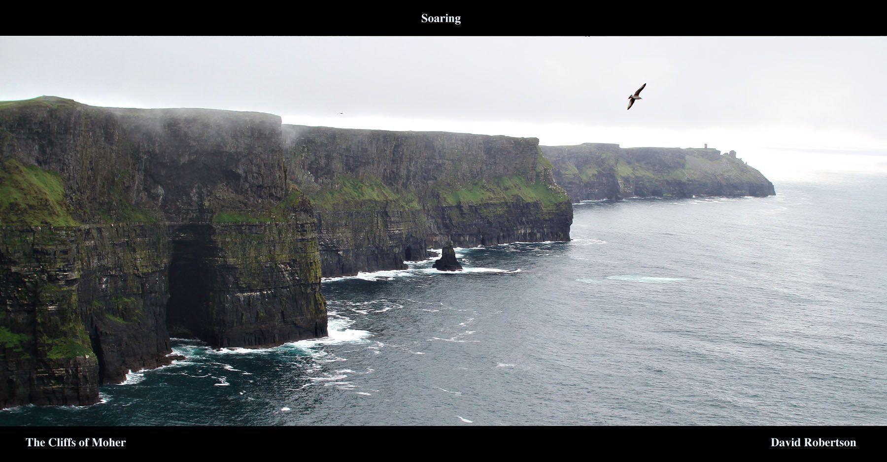Soaring at the Cliffs of Moher