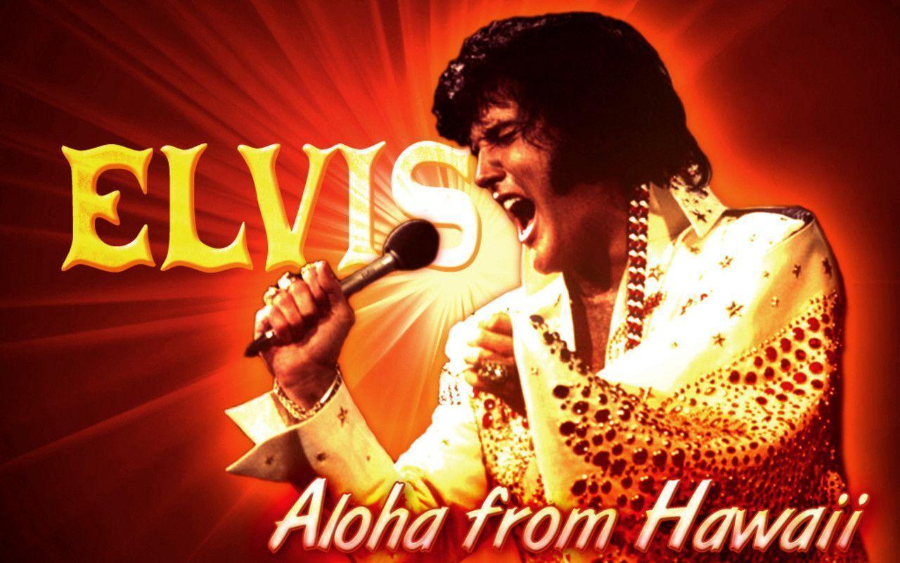 For Elvis CD Collectors • elvis wall