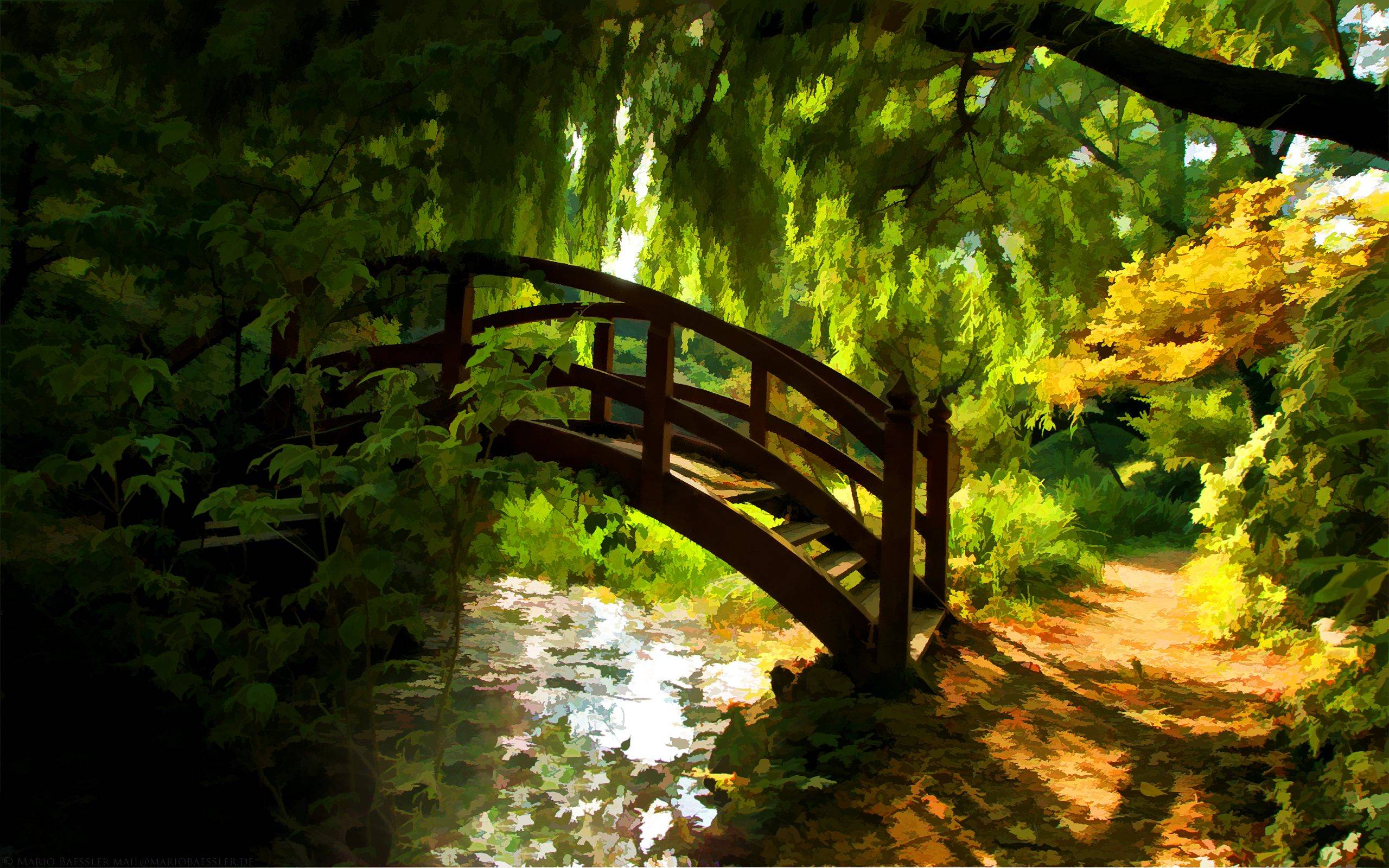 nature imac background nature, Free Widescreen HD wallpaper