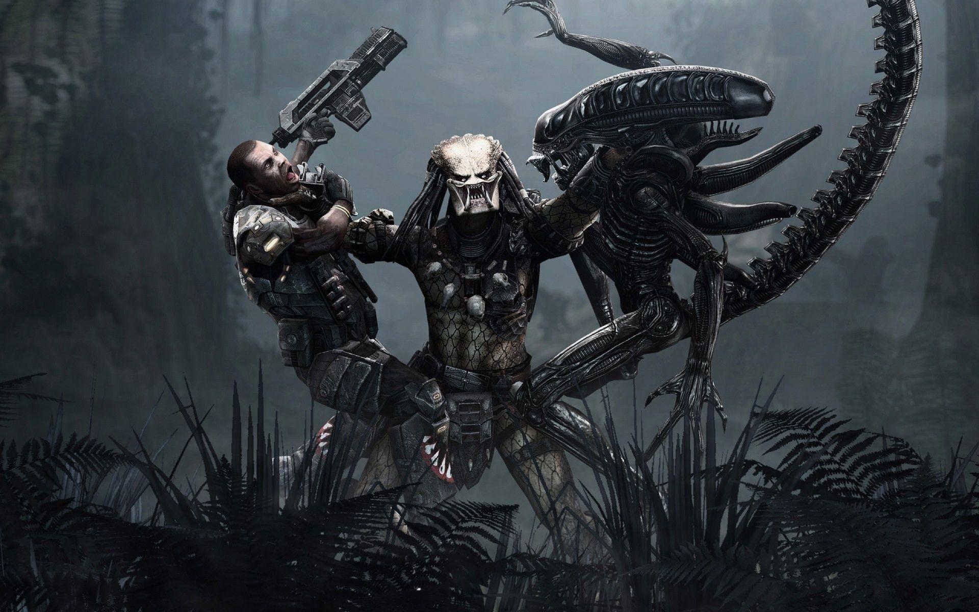 Alien Vs Predator Wallpaper, Science Fiction - Wallpaperforu