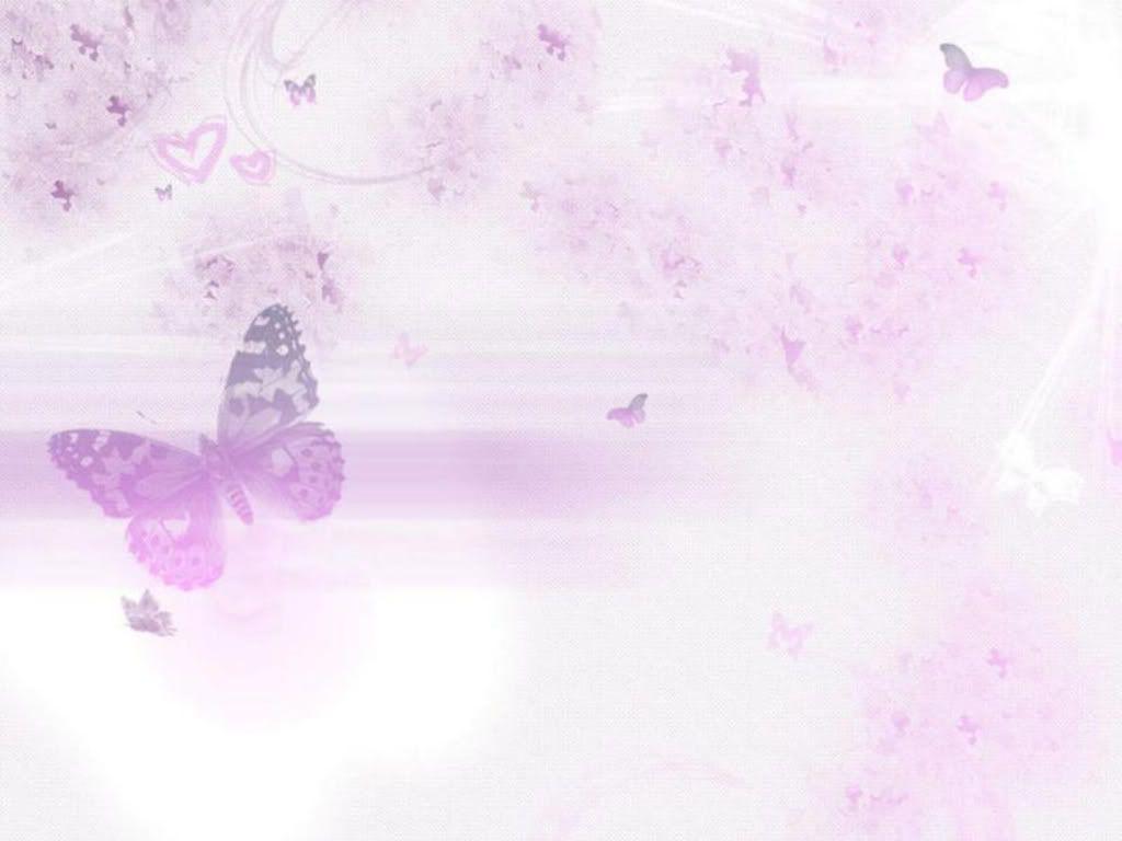 Purple Butterflies Wallpaper Photo