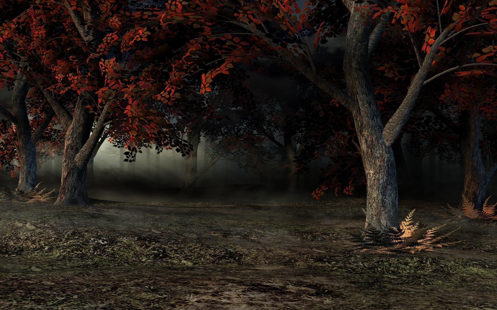 Picture Fantasy Nature Dimensi Trees High Resolutions Wallpaper