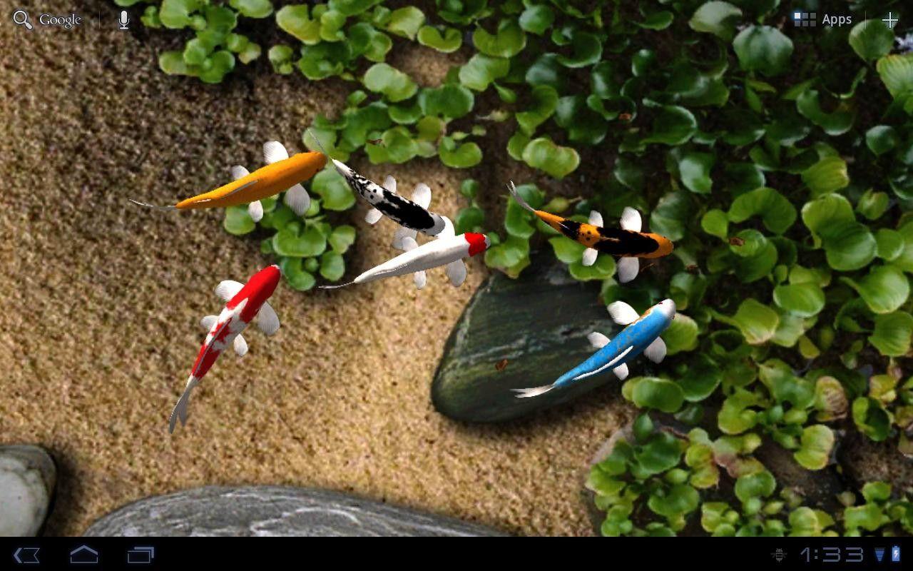 pc live wallpaper Definition Wallpaper Fore You