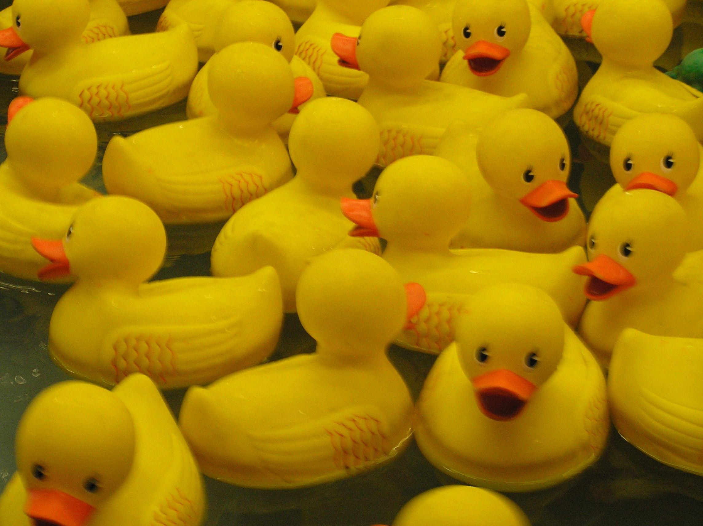 Photo of rubber ducks