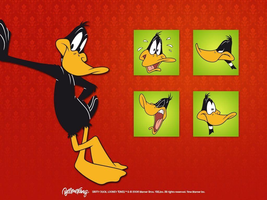 Looney Tunes Background, Daffy Duck Wallpaper Looney Tunes
