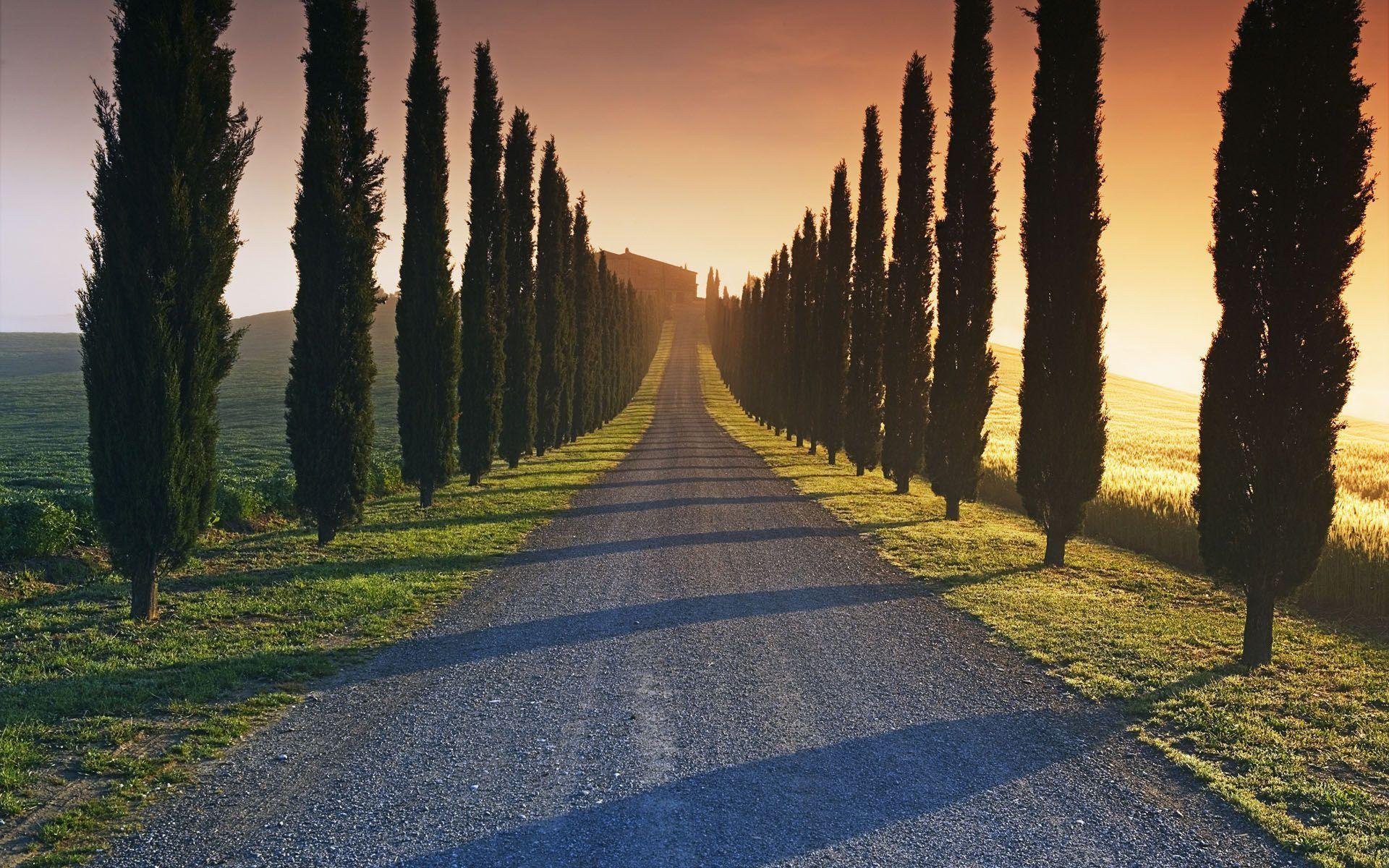 The road to the Italian estate wallpaper and image