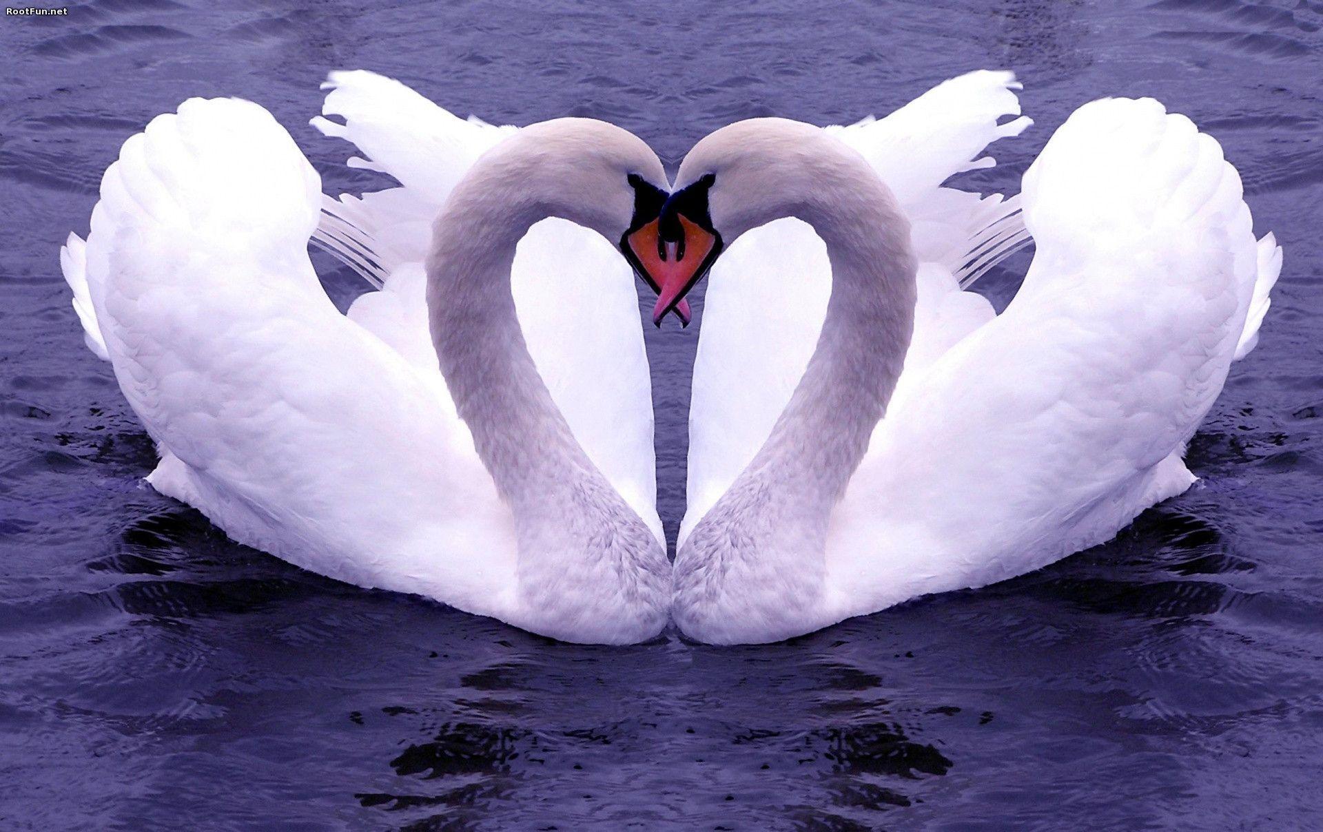 Beautiful Love Heart Wallpaper Broken Heart Image. Tauji365