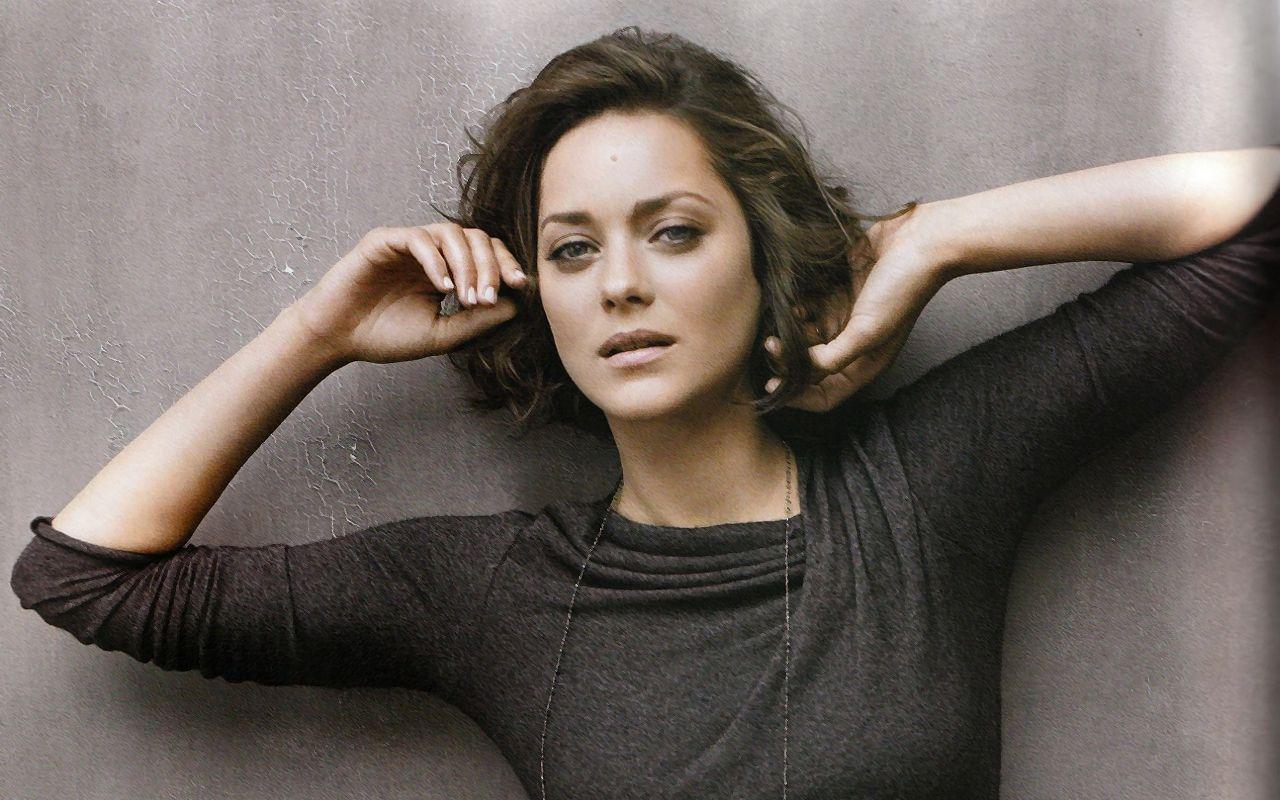 Marion Cotillard Wallpaper Wallpaper Inn
