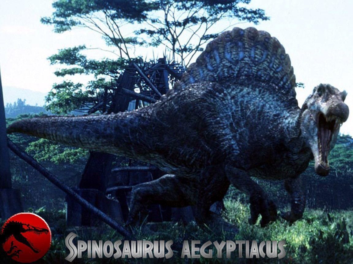 Spinosaurus Wallpaper Image & Picture