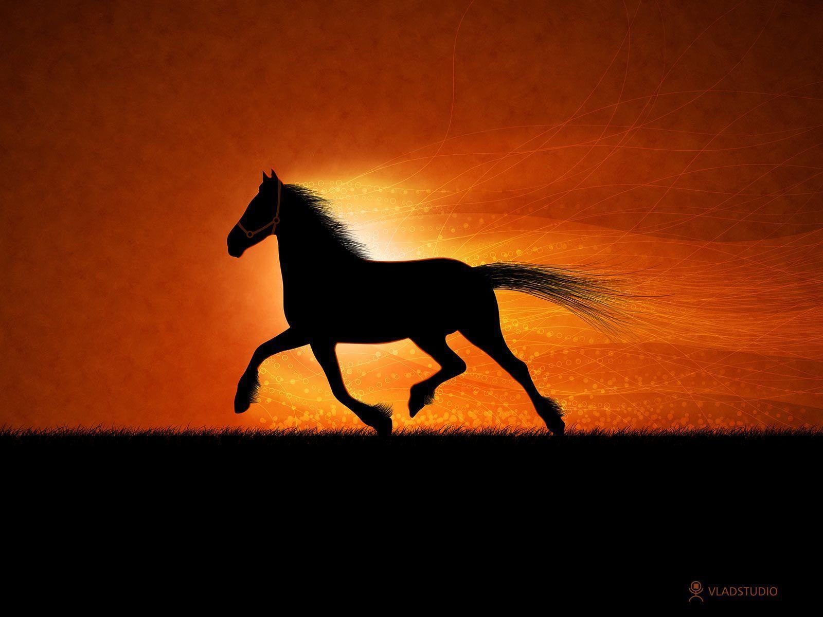 The Running Horse. Photo and Desktop Wallpaper