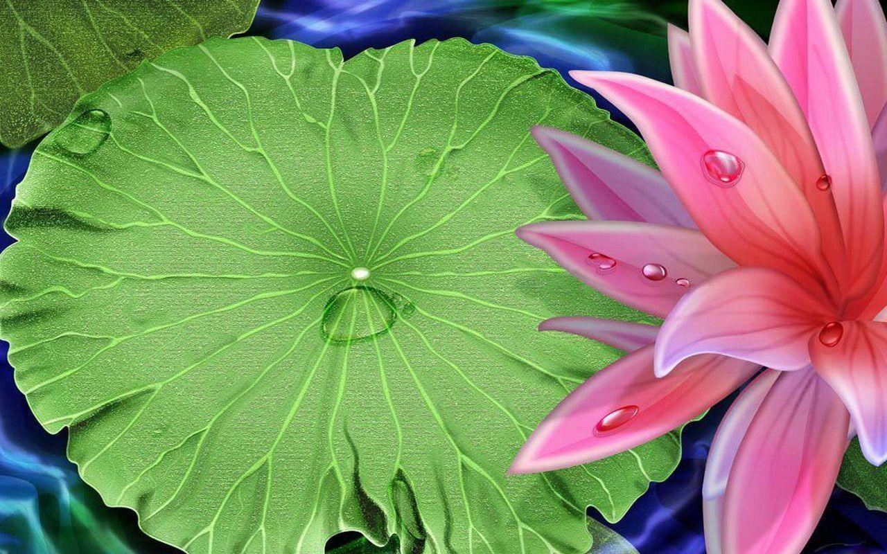 Desktop background // Computers // Windows 7 // Lotus flower